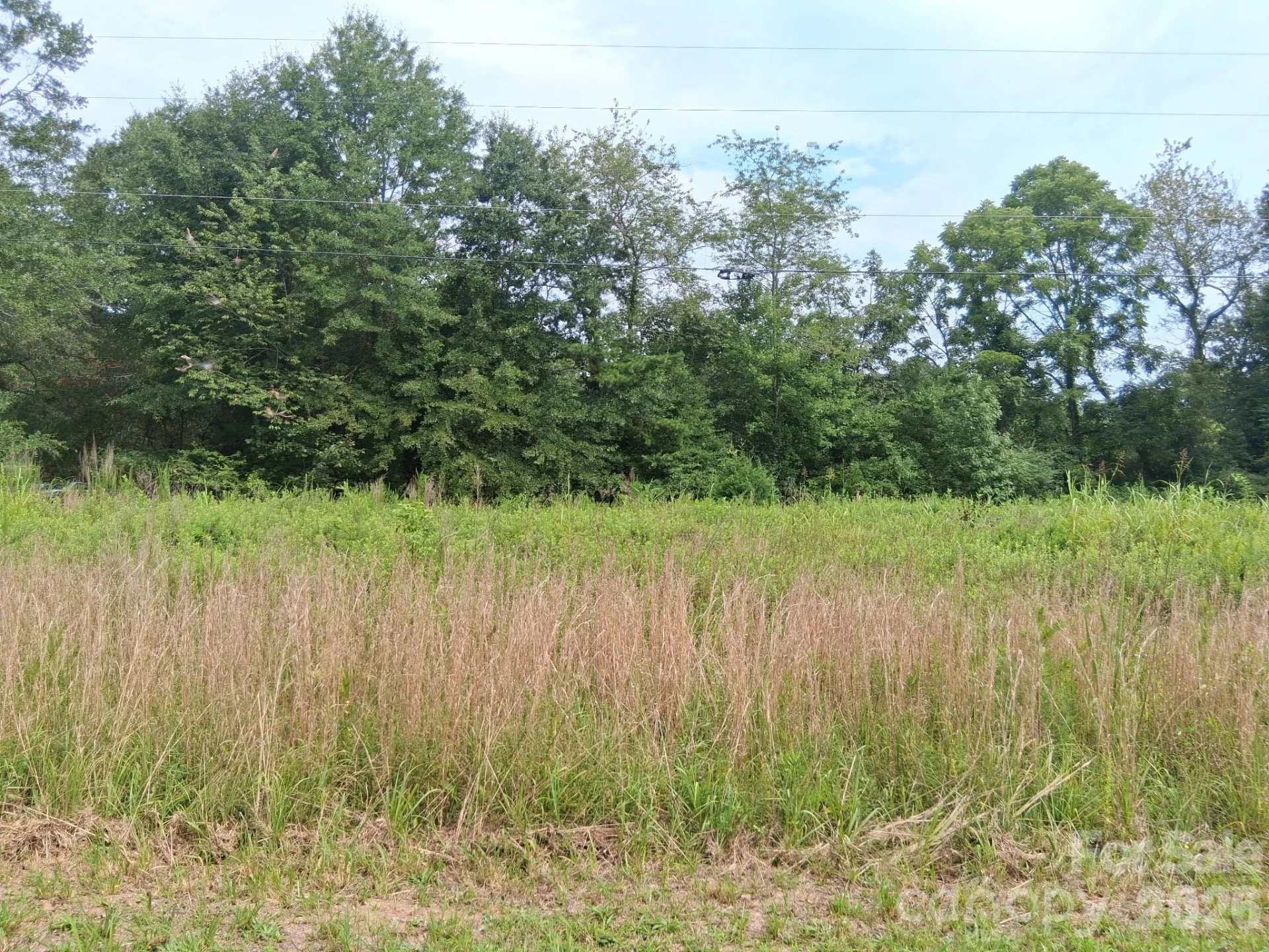 00 Henson Road - Photo 3