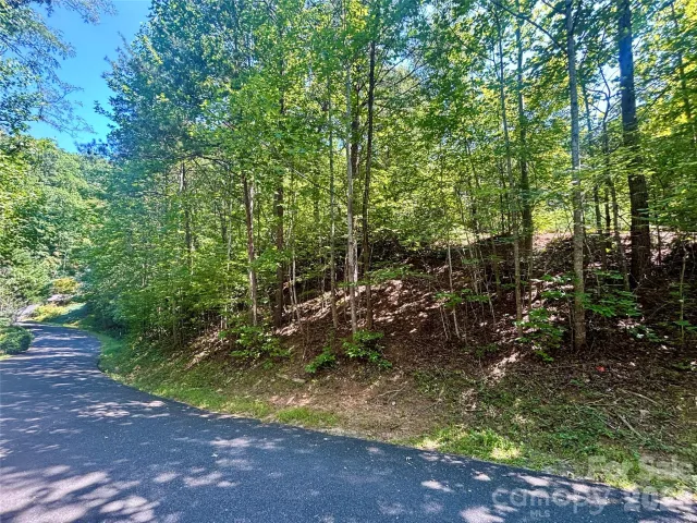 Lot 77 Winesap Boulevard, Lake Lure, NC, 28746