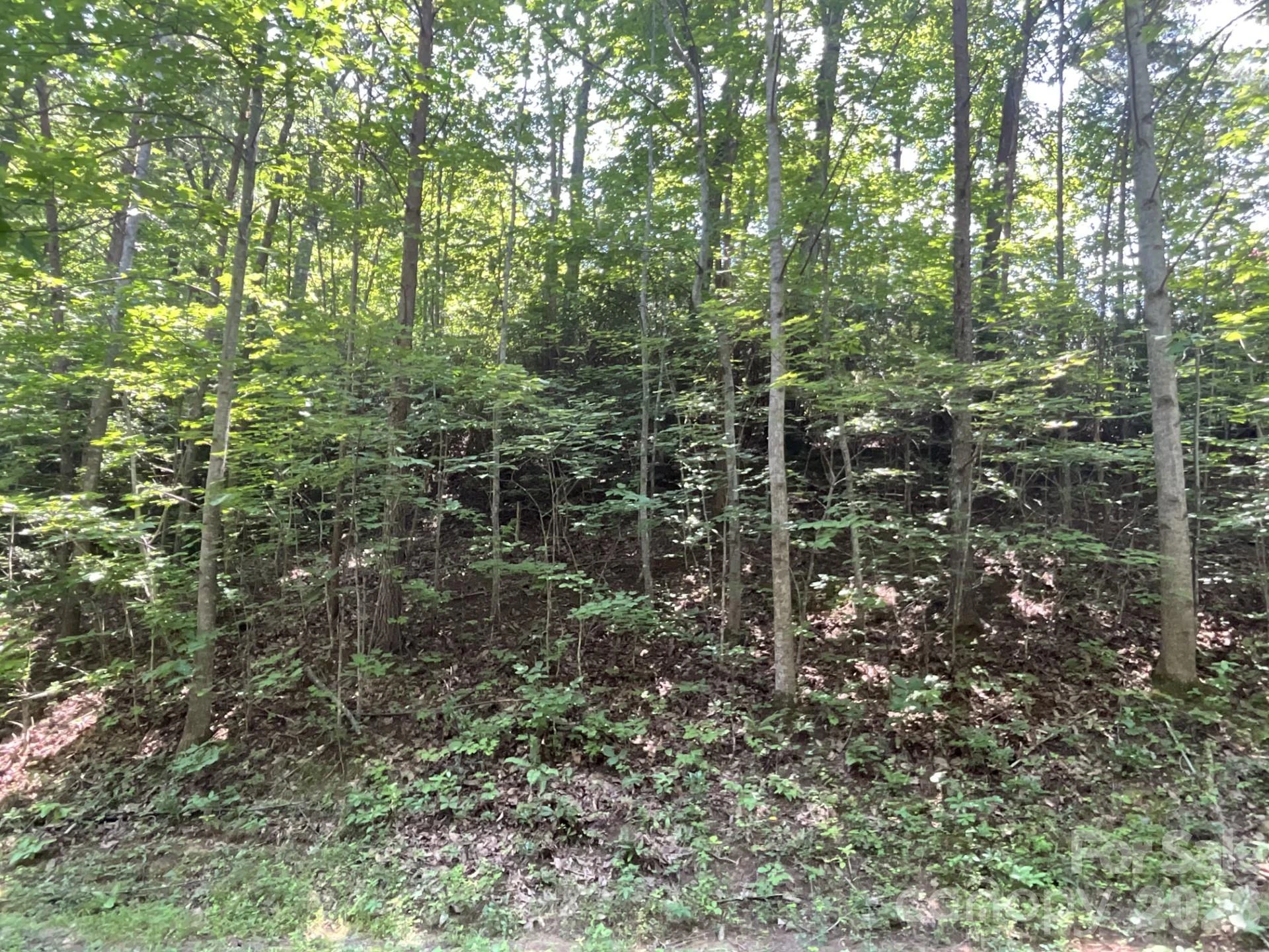 Lot 77 Winesap Boulevard - Photo 2