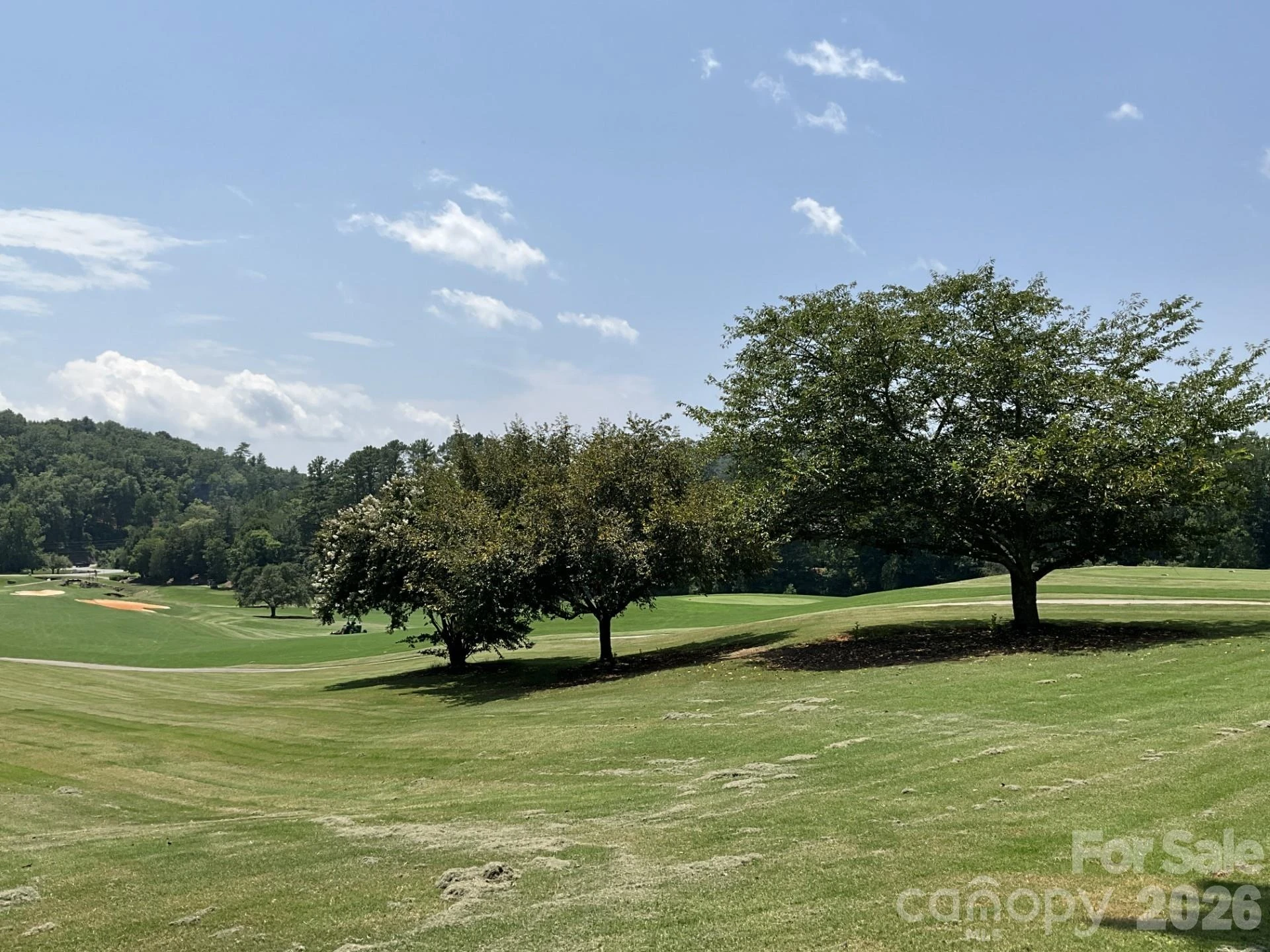 Lot 77 Winesap Boulevard - Photo 9