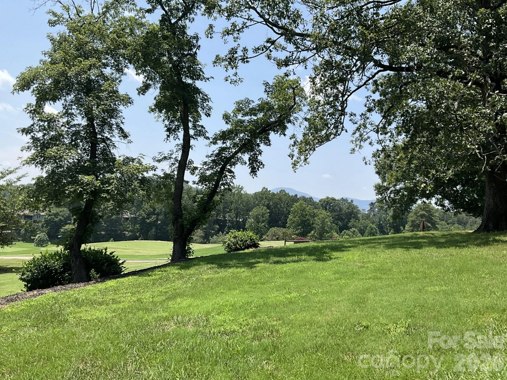Lot 77 Winesap Boulevard - Photo 10