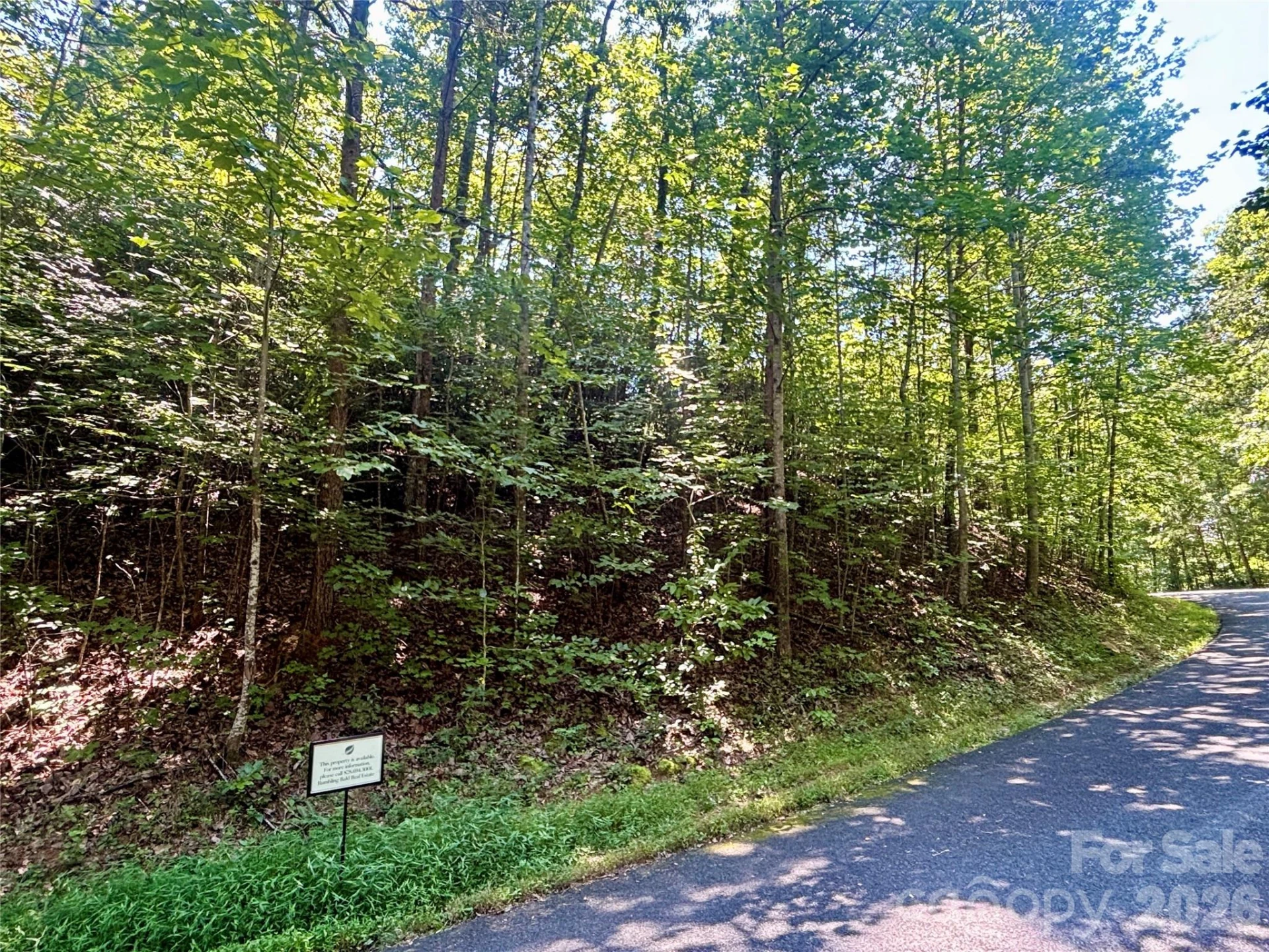 Lot 77 Winesap Boulevard - Photo 3