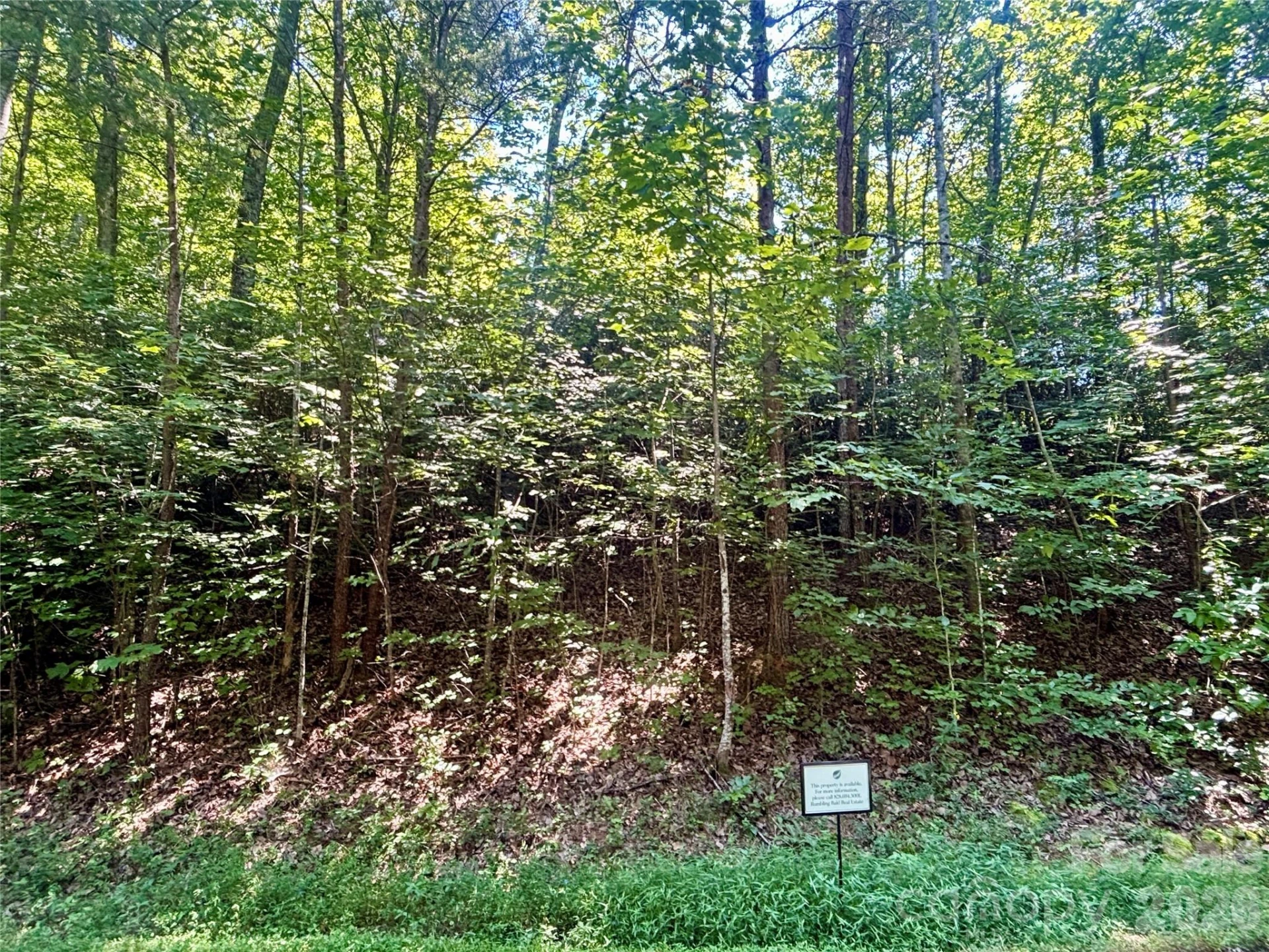 Lot 77 Winesap Boulevard - Photo 5
