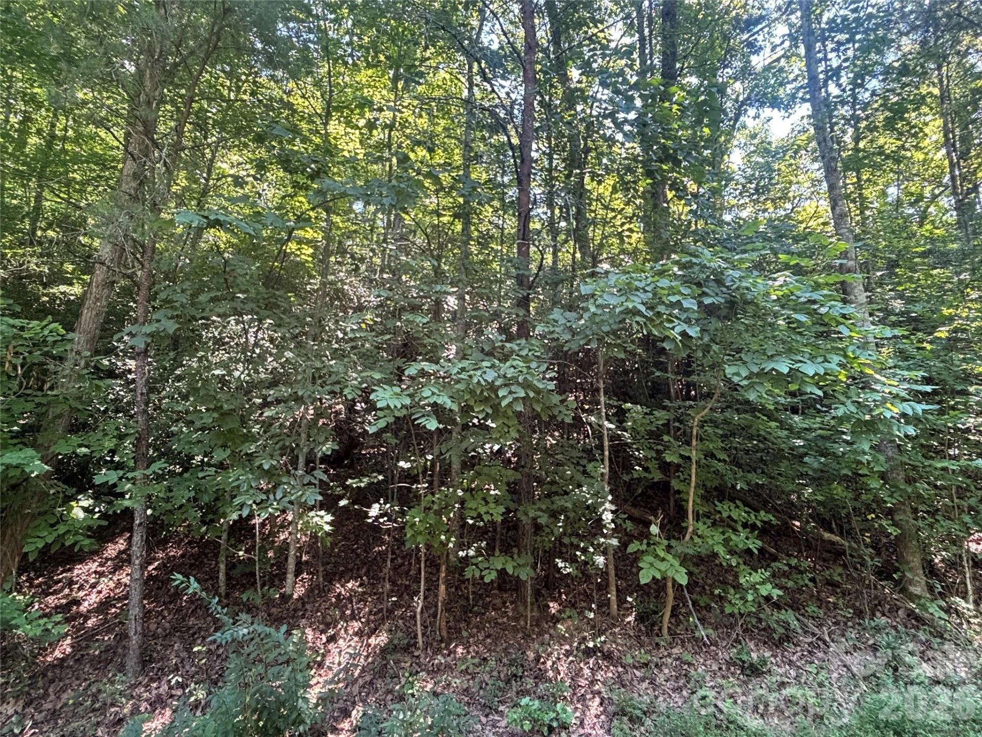 Lot 77 Winesap Boulevard - Photo 8