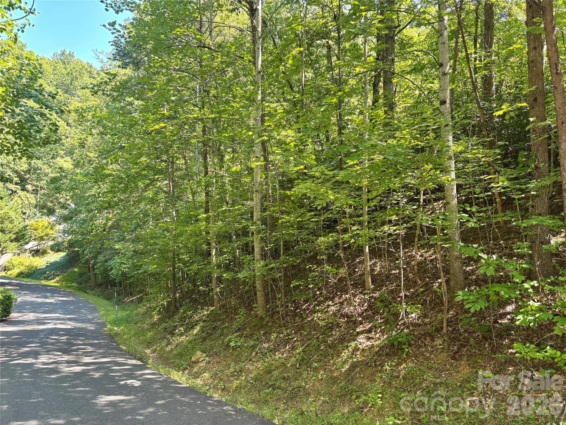 Lot 77 Winesap Boulevard - Photo 11