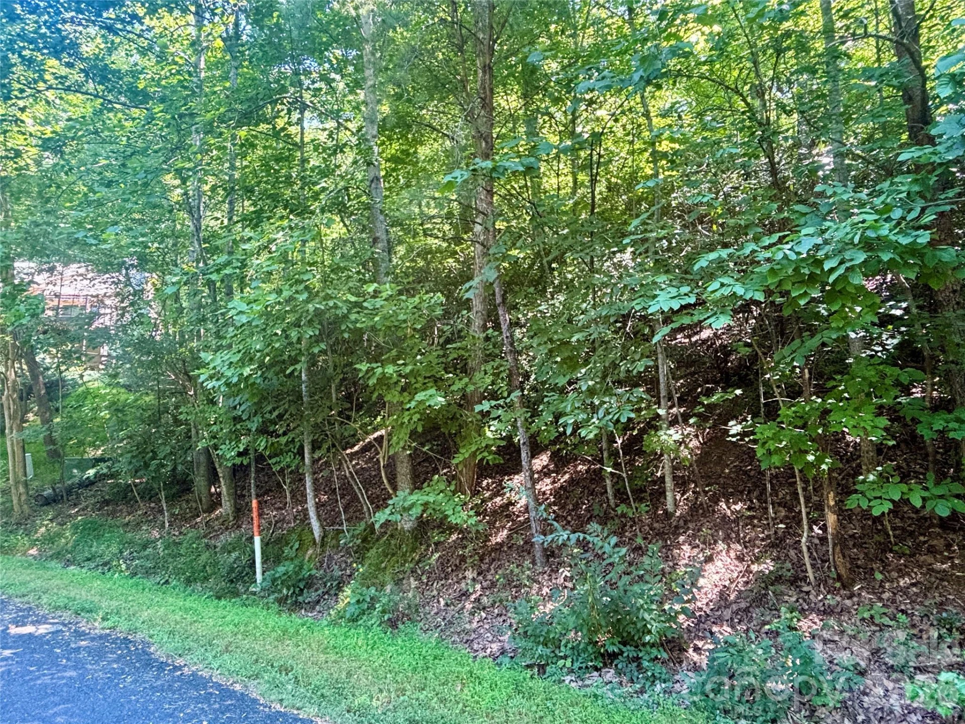 Lot 77 Winesap Boulevard - Photo 13