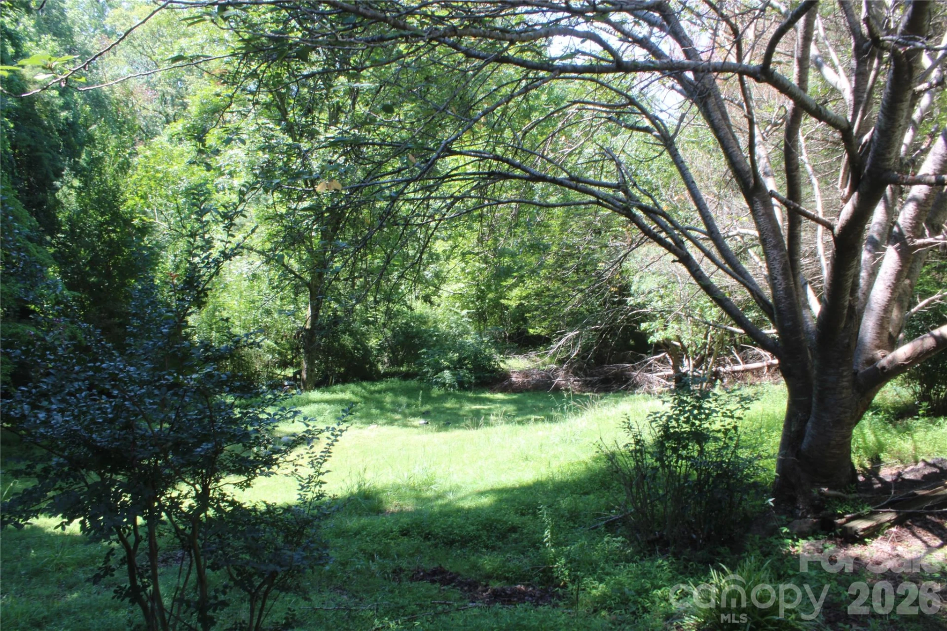 3041 Bills Creek Road - Photo 9