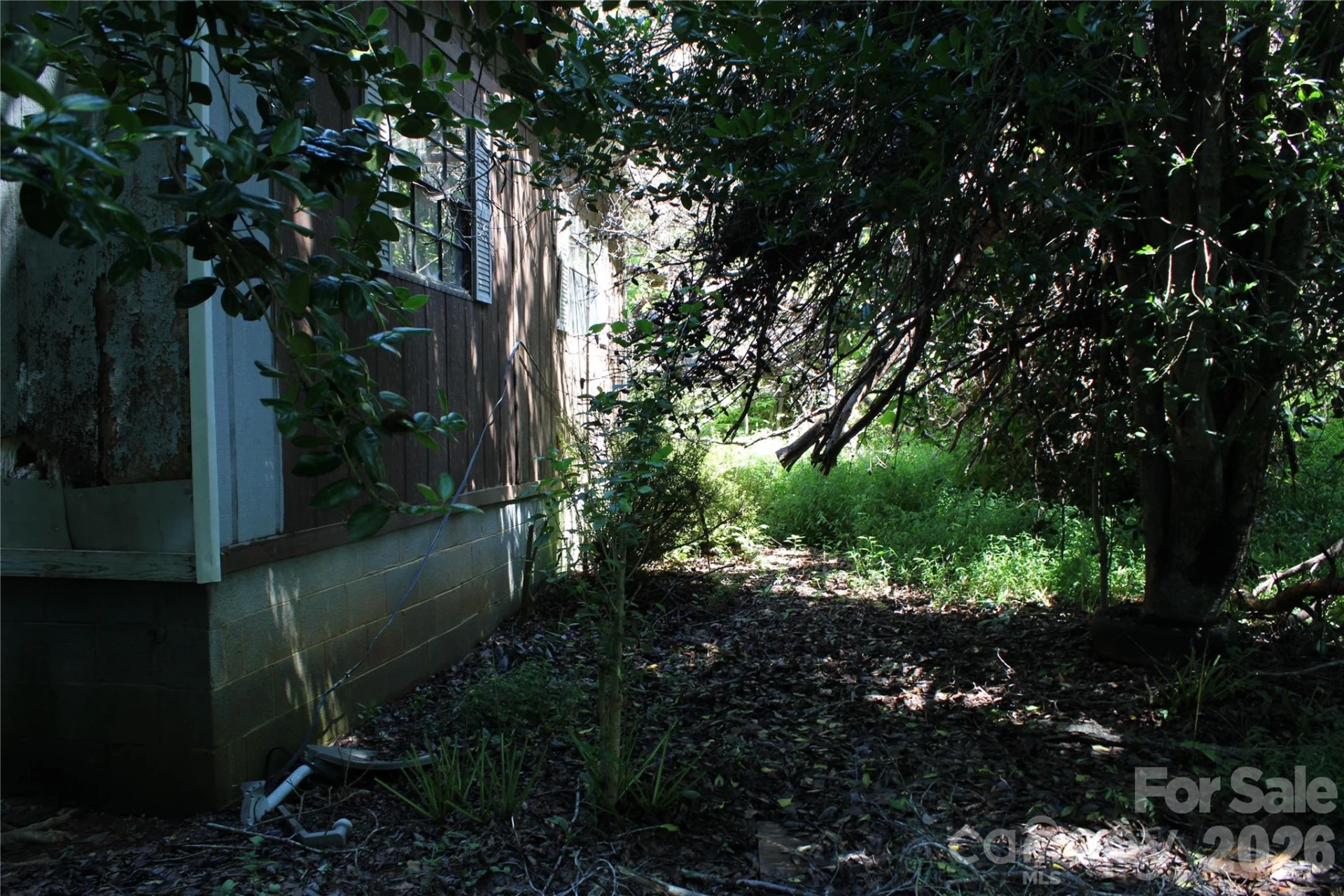 3041 Bills Creek Road - Photo 12