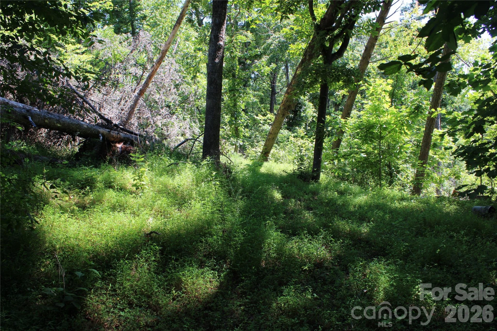 3041 Bills Creek Road - Photo 13