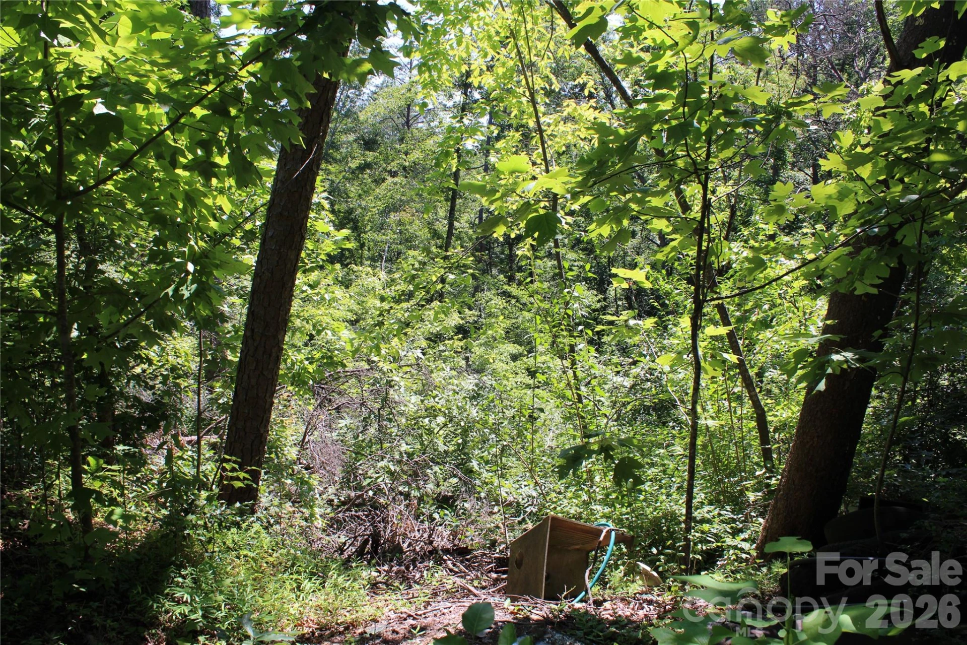 3041 Bills Creek Road - Photo 15