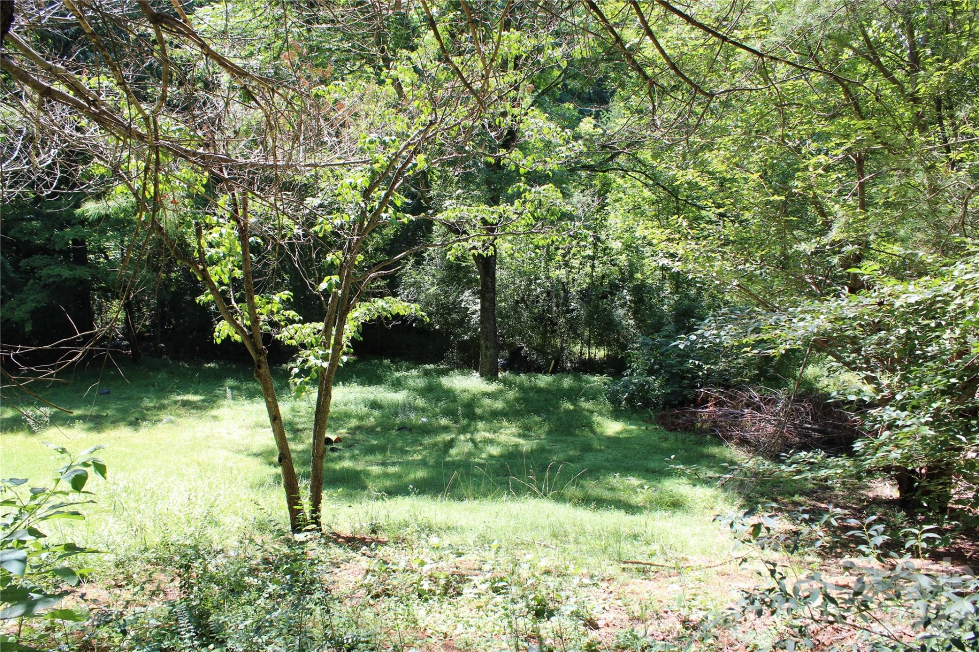 3041 Bills Creek Road - Photo 20
