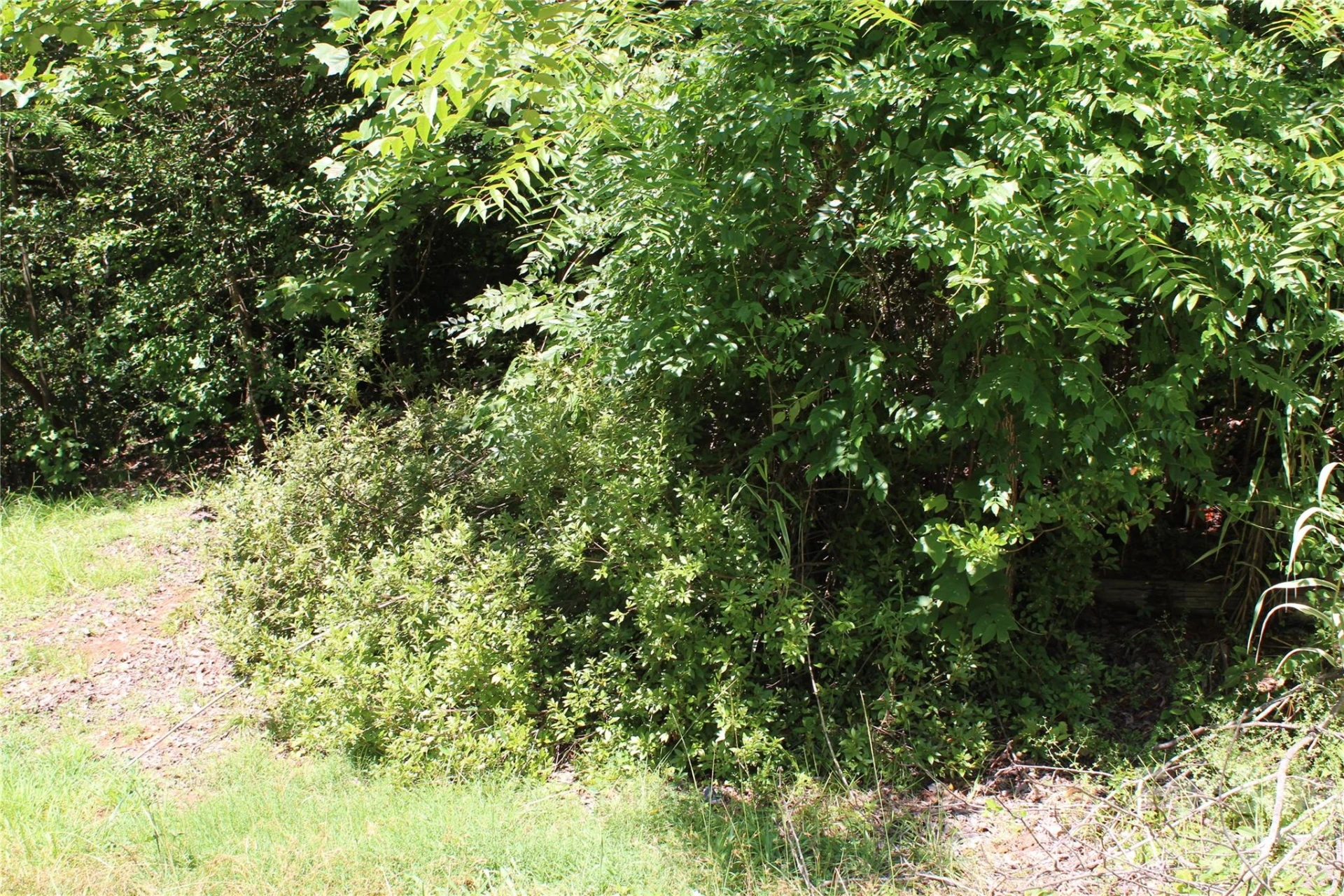 3041 Bills Creek Road