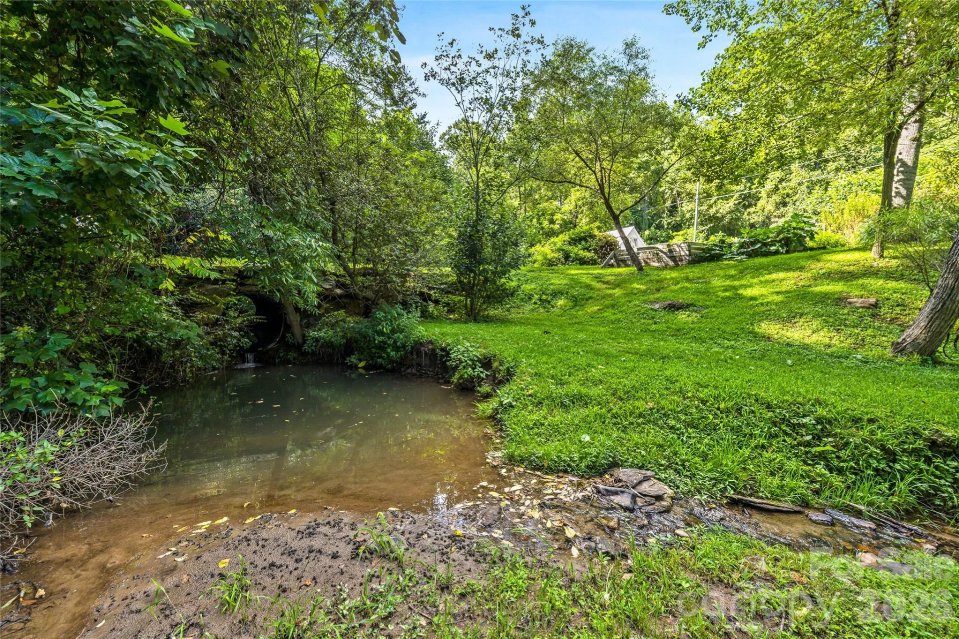 820 Merrills Cove Road - Photo 5