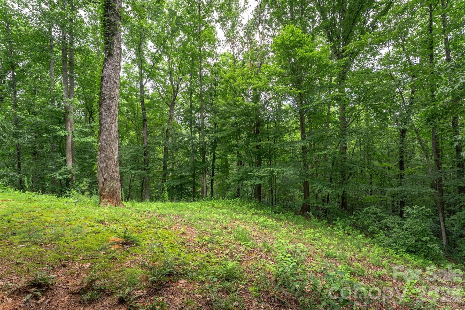 698 Heartwood Drive - Photo 35