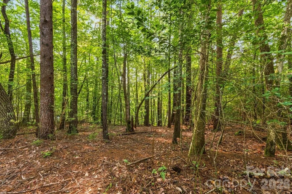 178 Lentz Landing Lane - Photo 6
