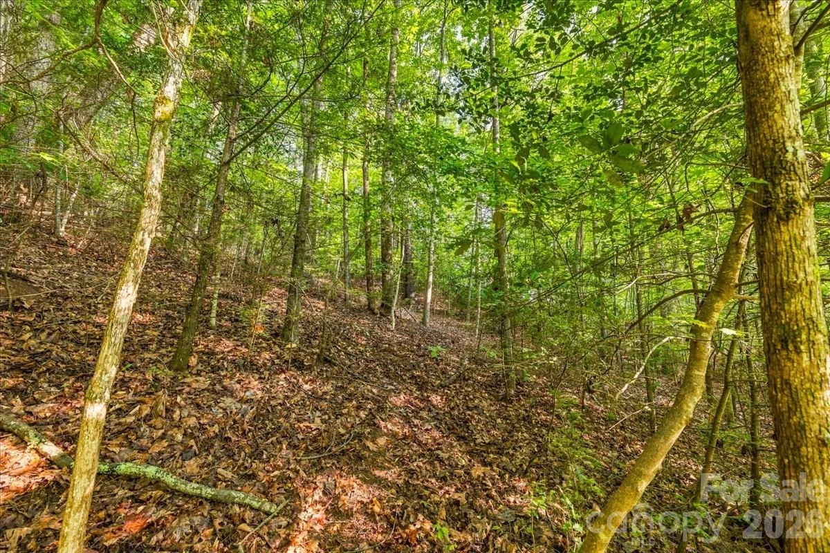 178 Lentz Landing Lane - Photo 24