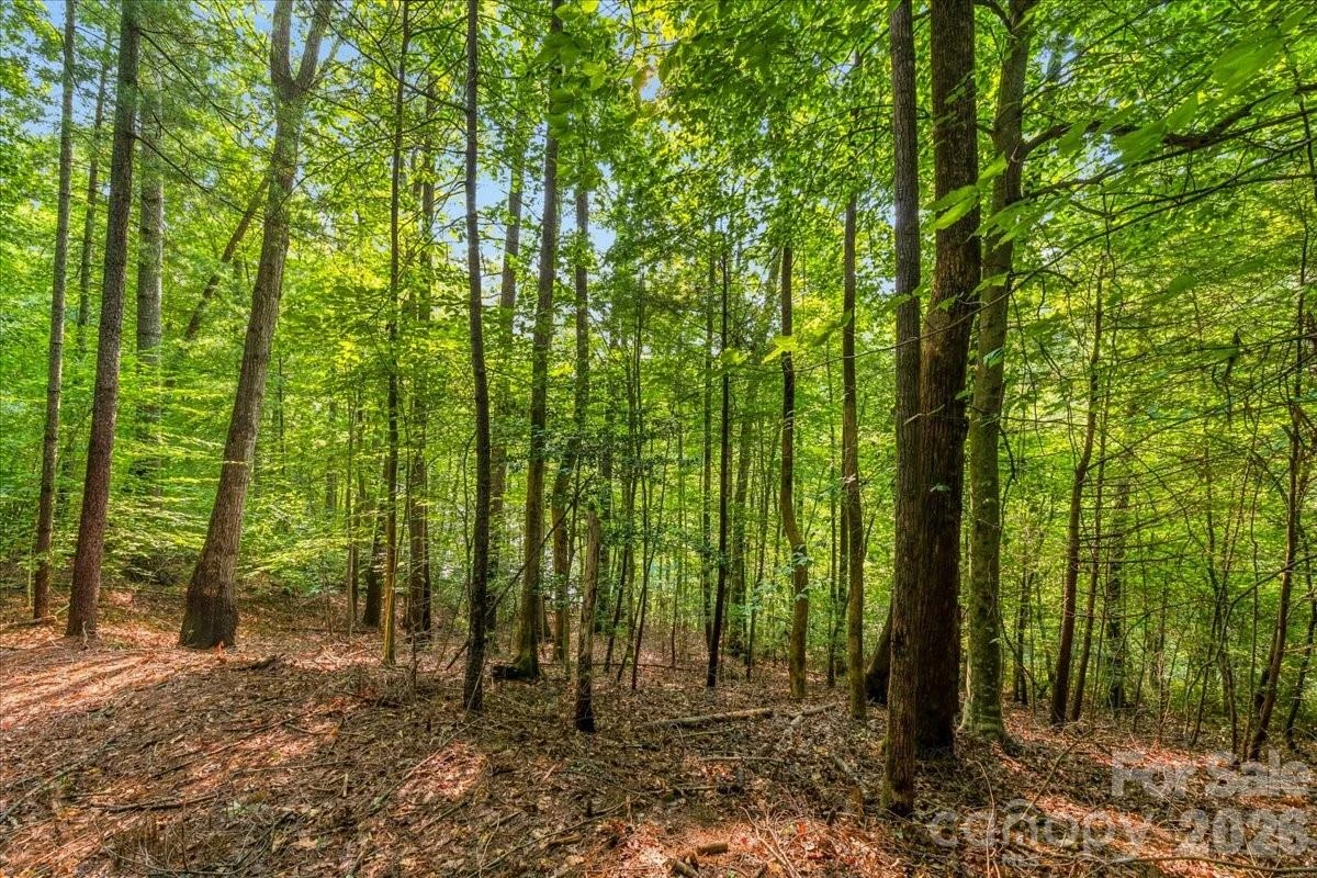 178 Lentz Landing Lane - Photo 25