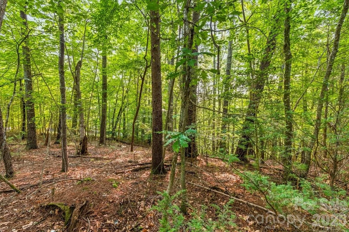 178 Lentz Landing Lane - Photo 26
