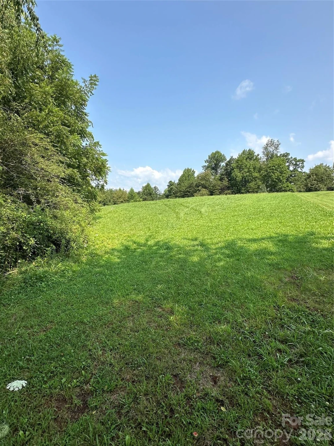 V/L E Payne Road - Photo 3