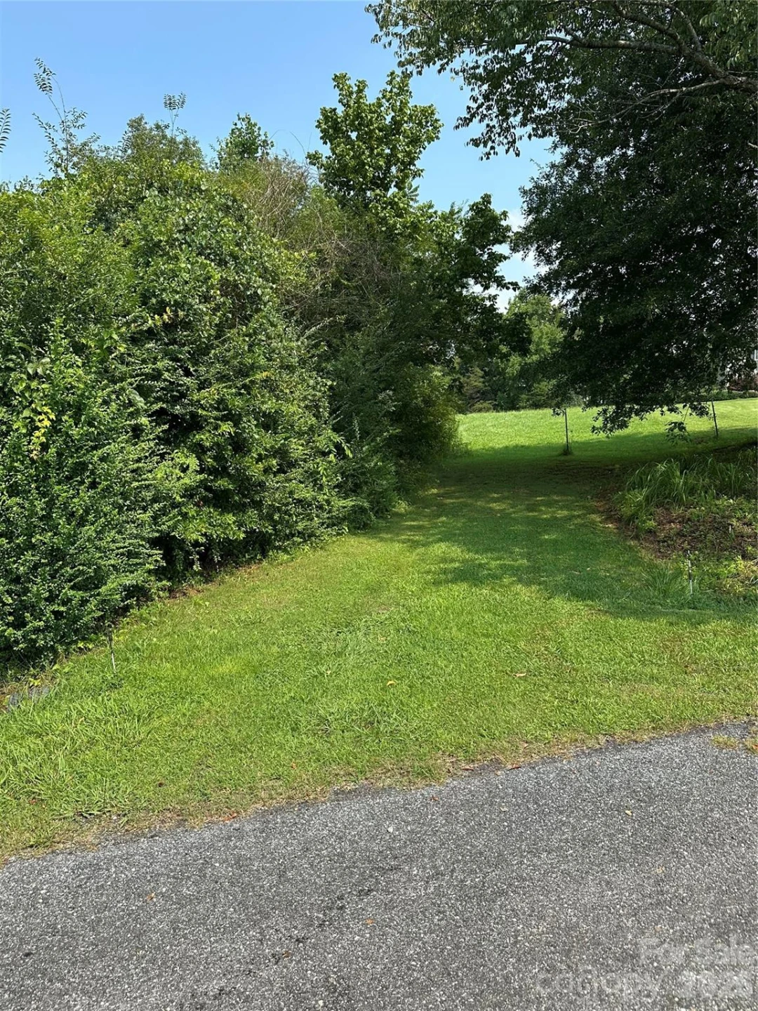 V/L E Payne Road - Photo 5