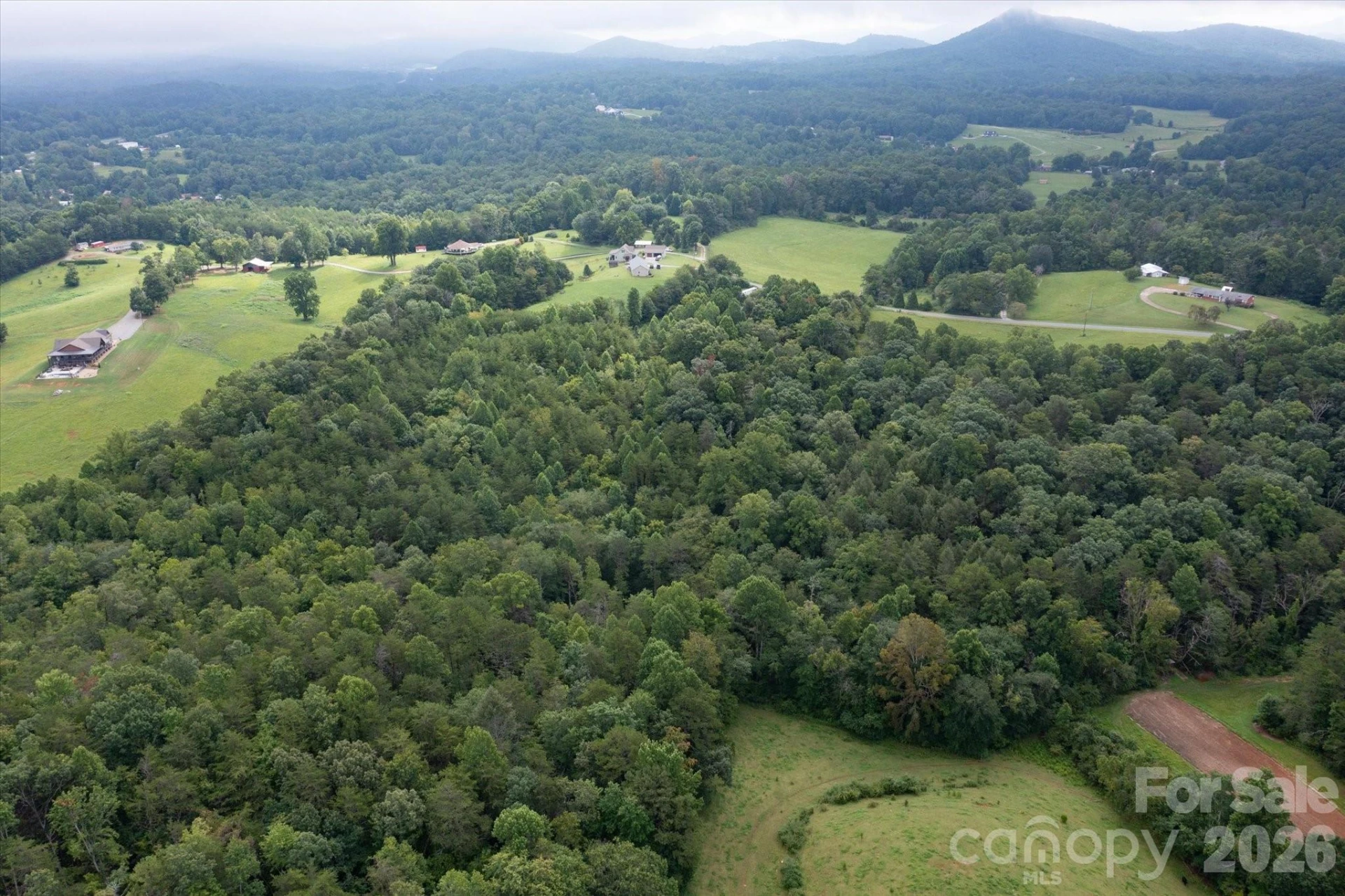 V/L E Payne Road - Photo 9