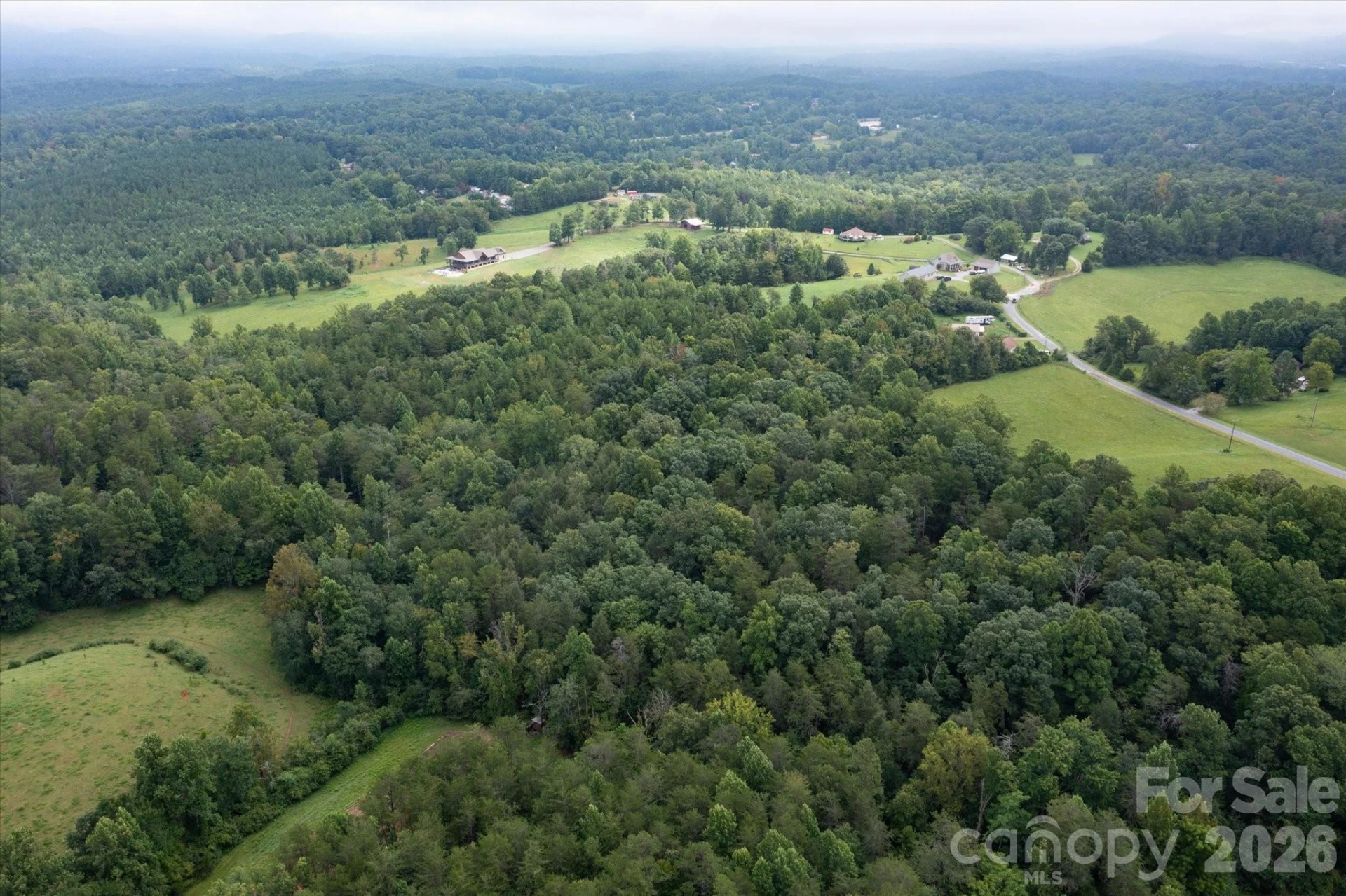 V/L E Payne Road - Photo 11