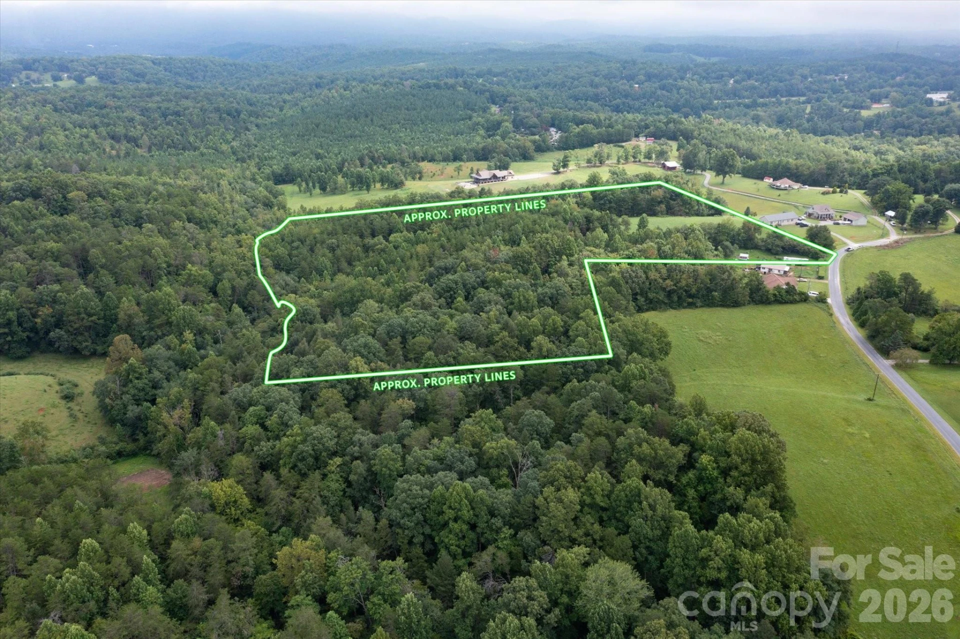 V/L E Payne Road - Photo 12