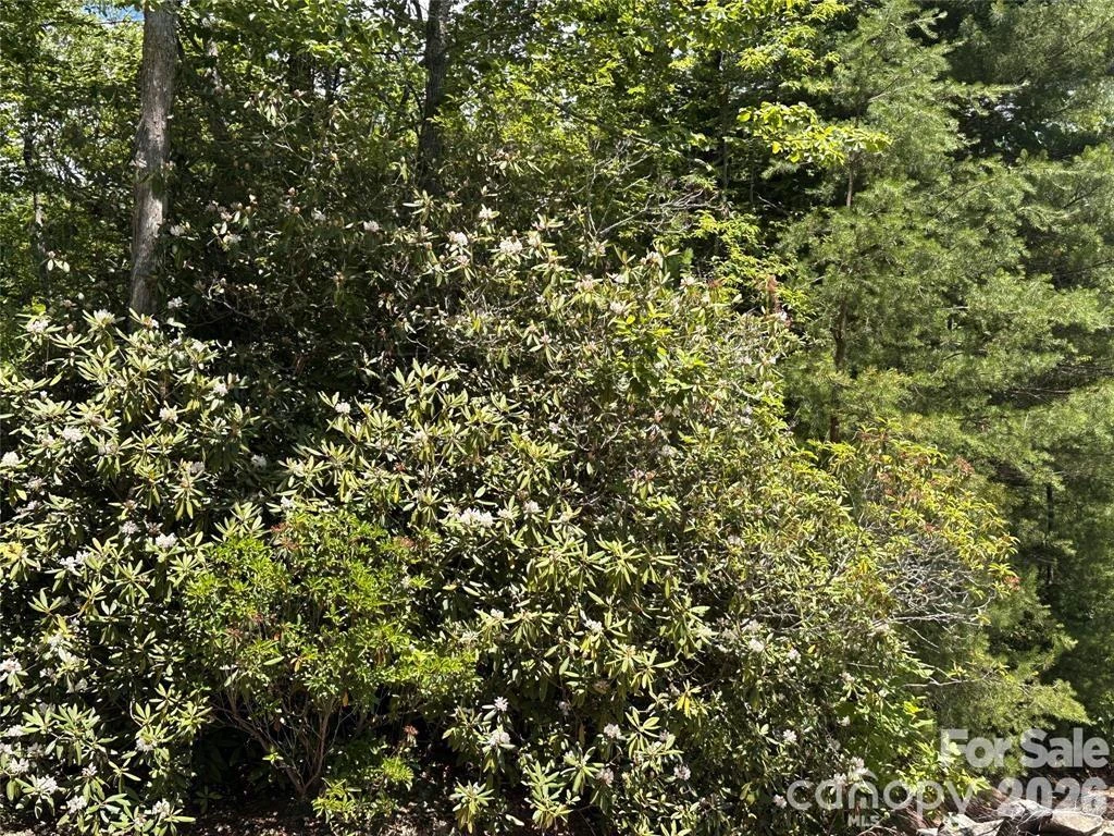 66 Boone Cove Road - Photo 4