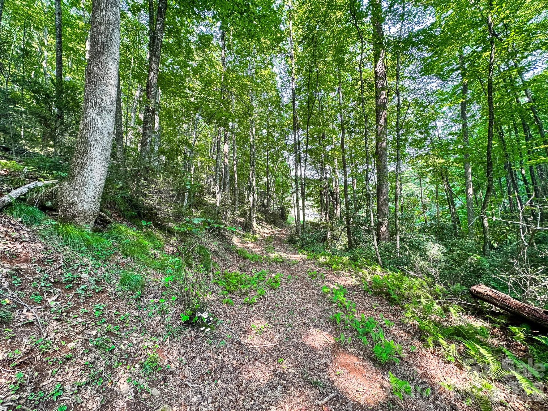 82 Trout Haven Lane - Photo 48