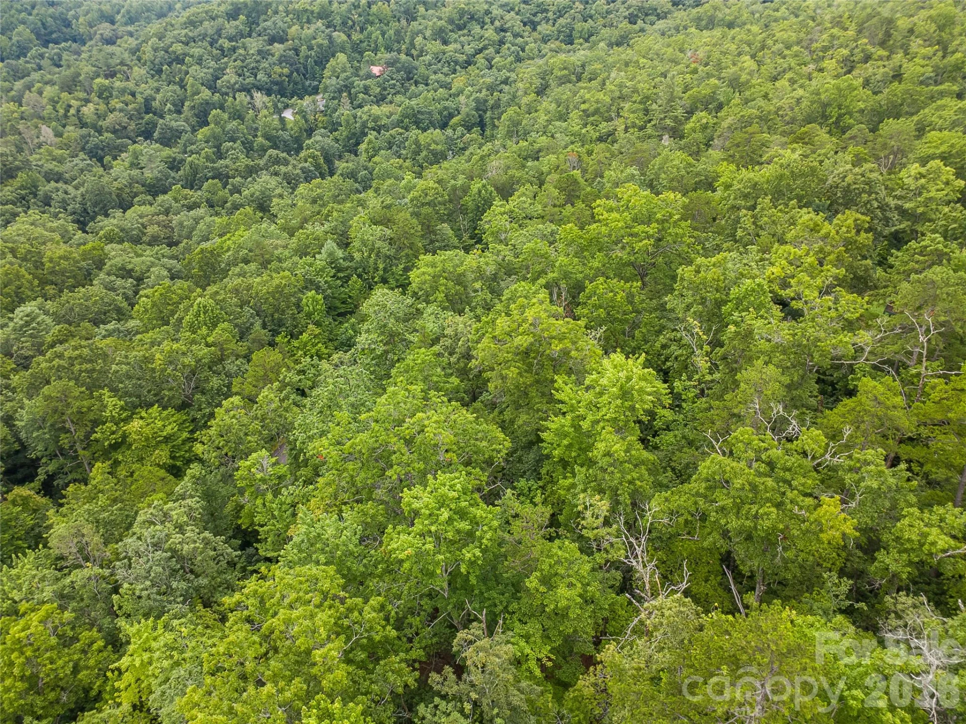45 lobdell Road #45 - Photo 7