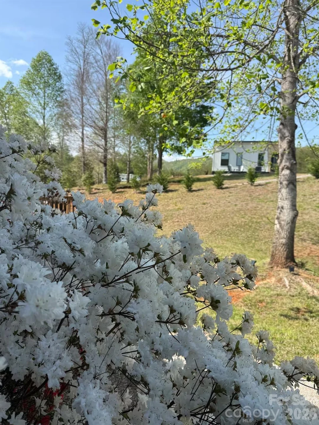 231 Fibber Magee Drive - Photo 30