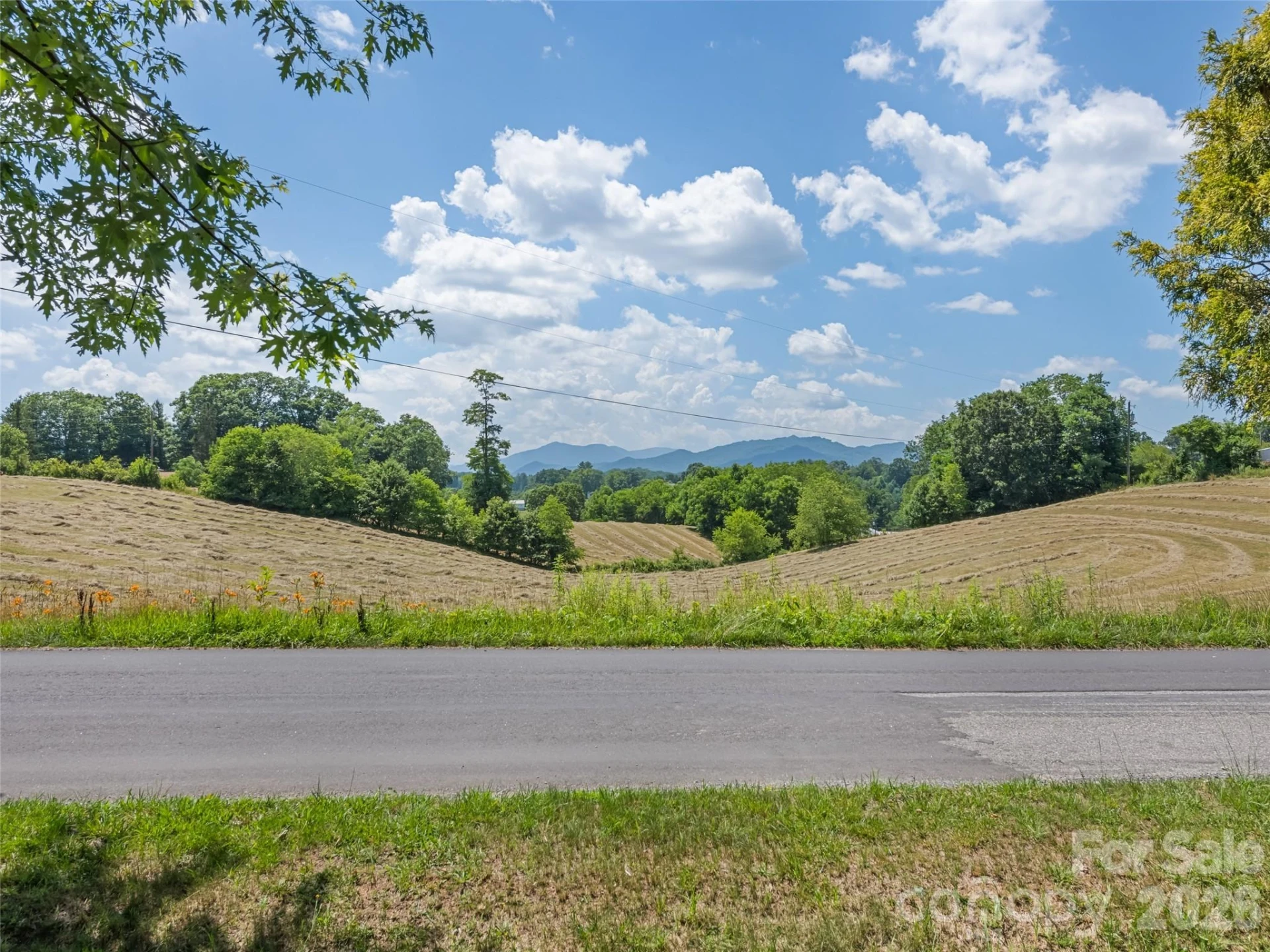 145 Haynes Cove - Photo 8