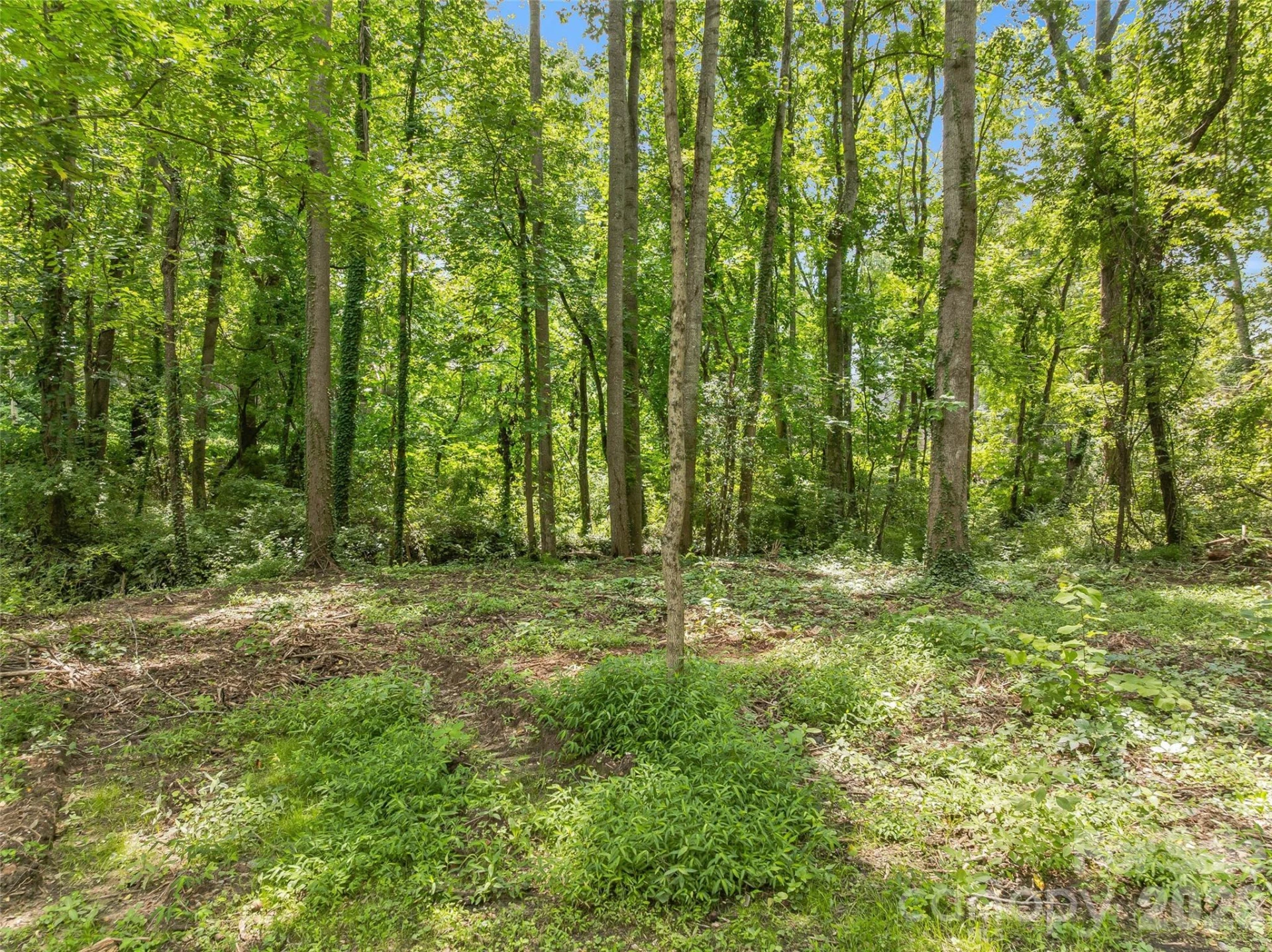 468 Governors View Road - Photo 8