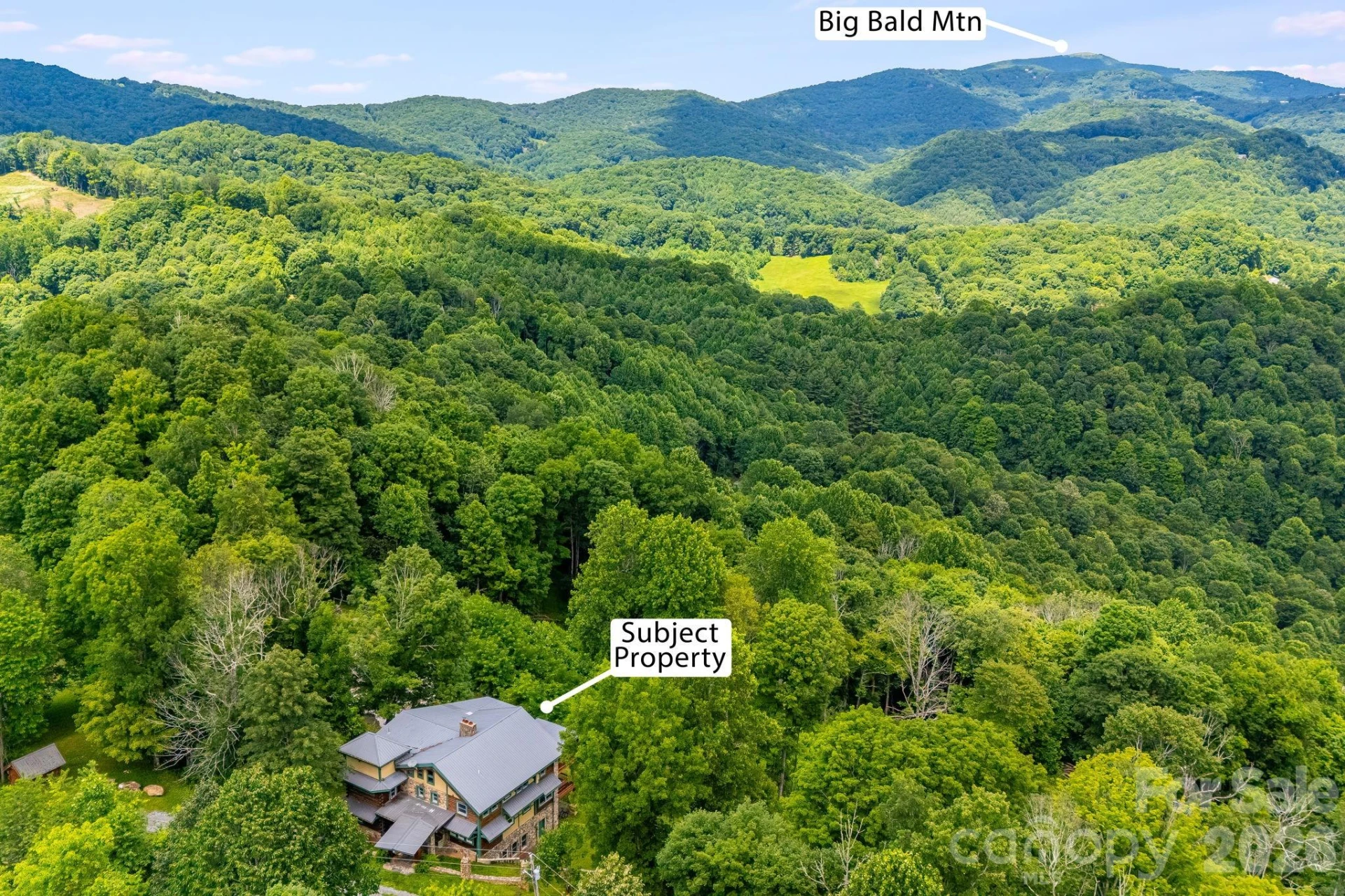1185 Black Bear Drive - Photo 47