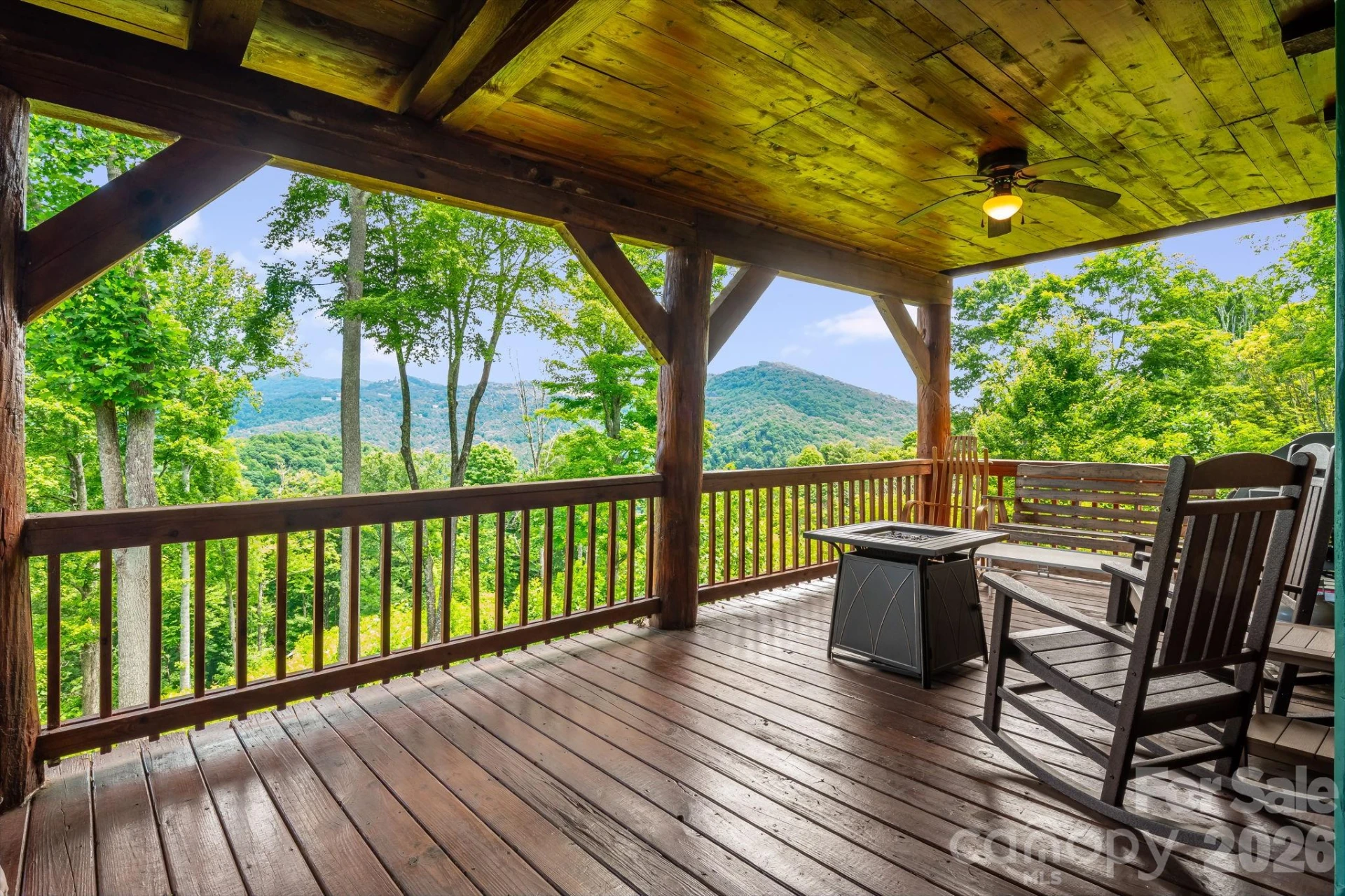 1185 Black Bear Drive - Photo 18