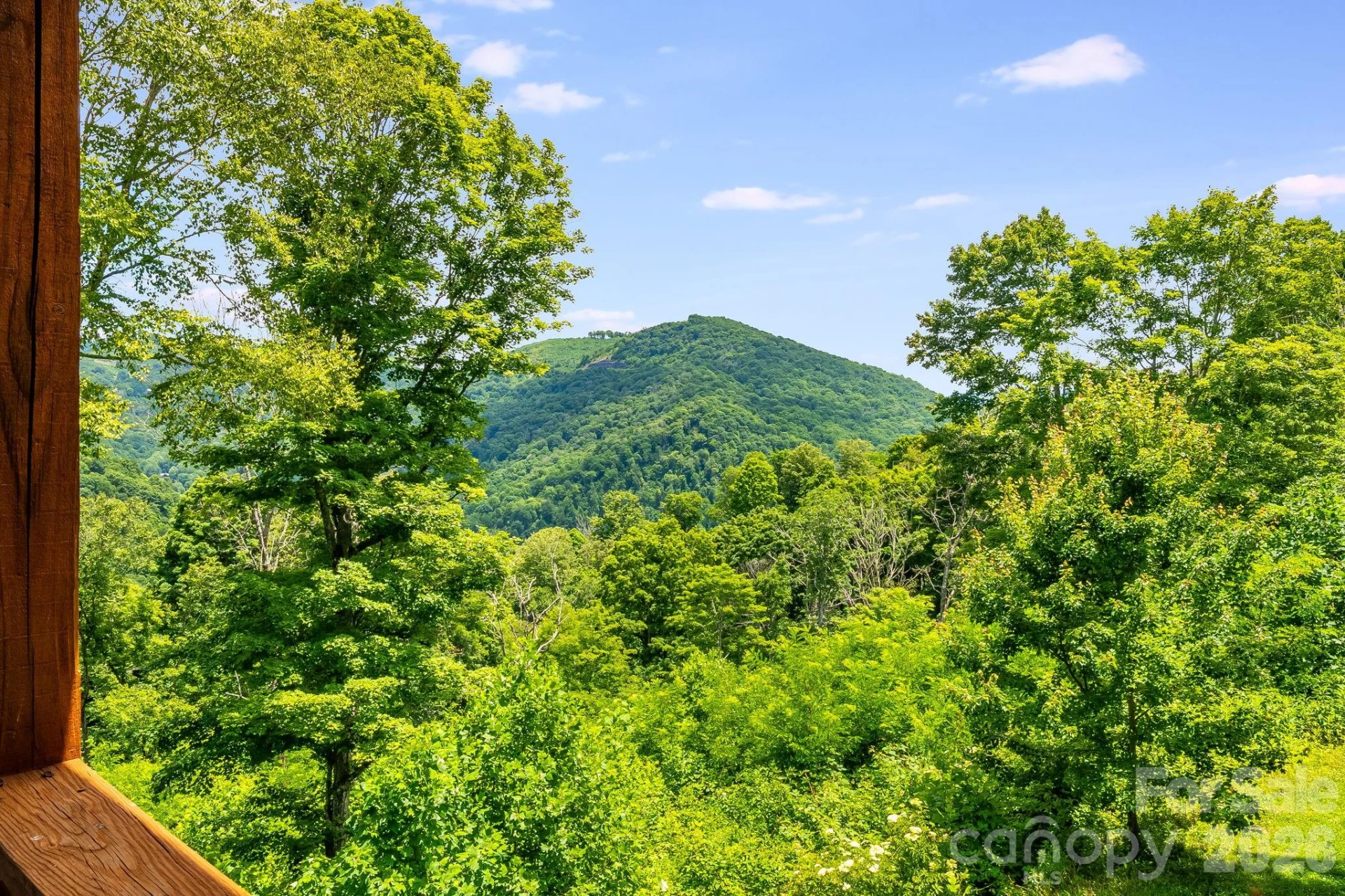 1185 Black Bear Drive - Photo 19