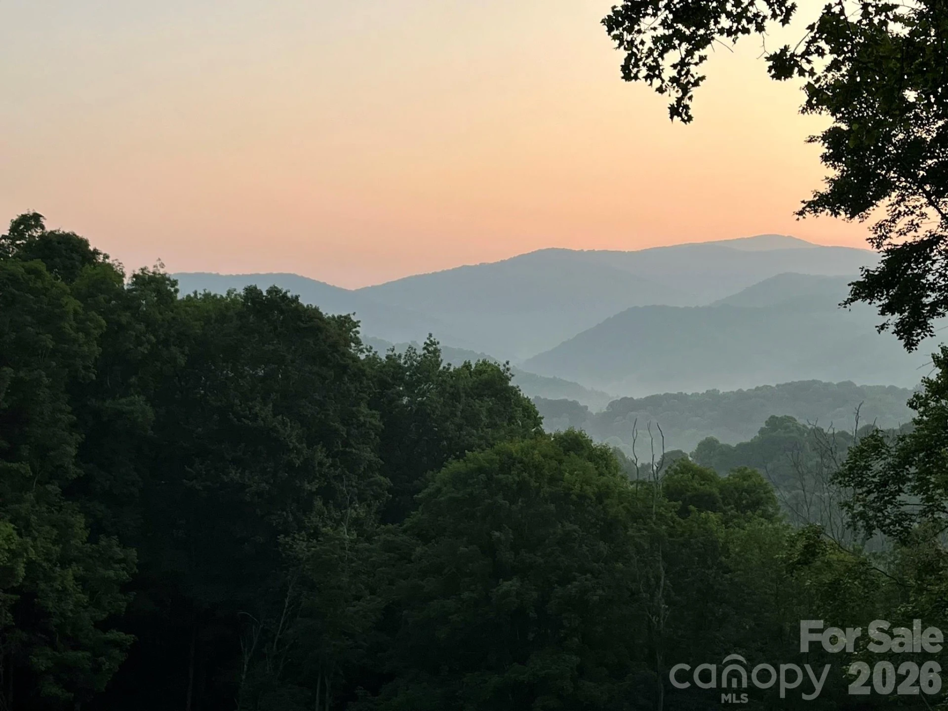 1185 Black Bear Drive - Photo 20