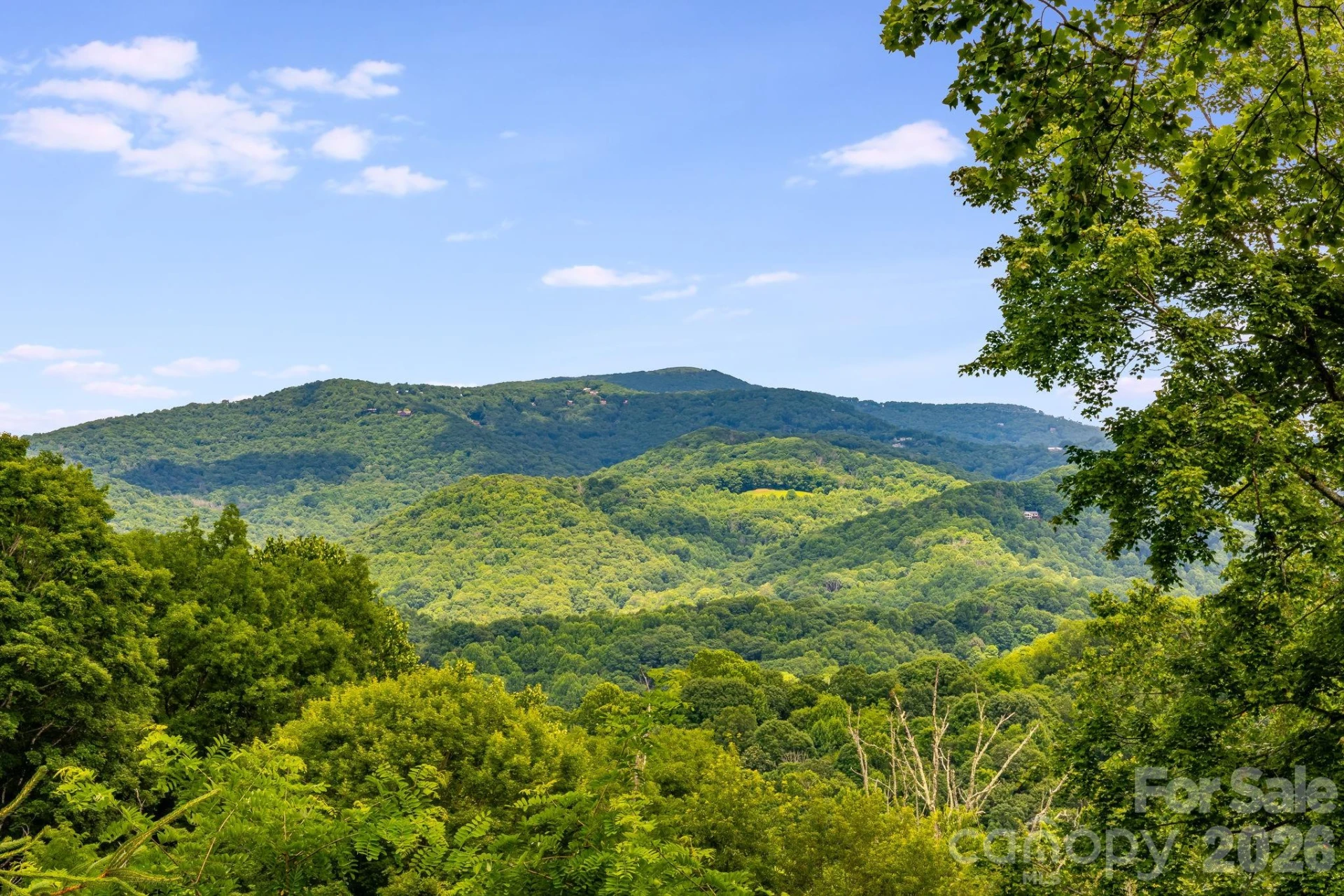 1185 Black Bear Drive - Photo 28