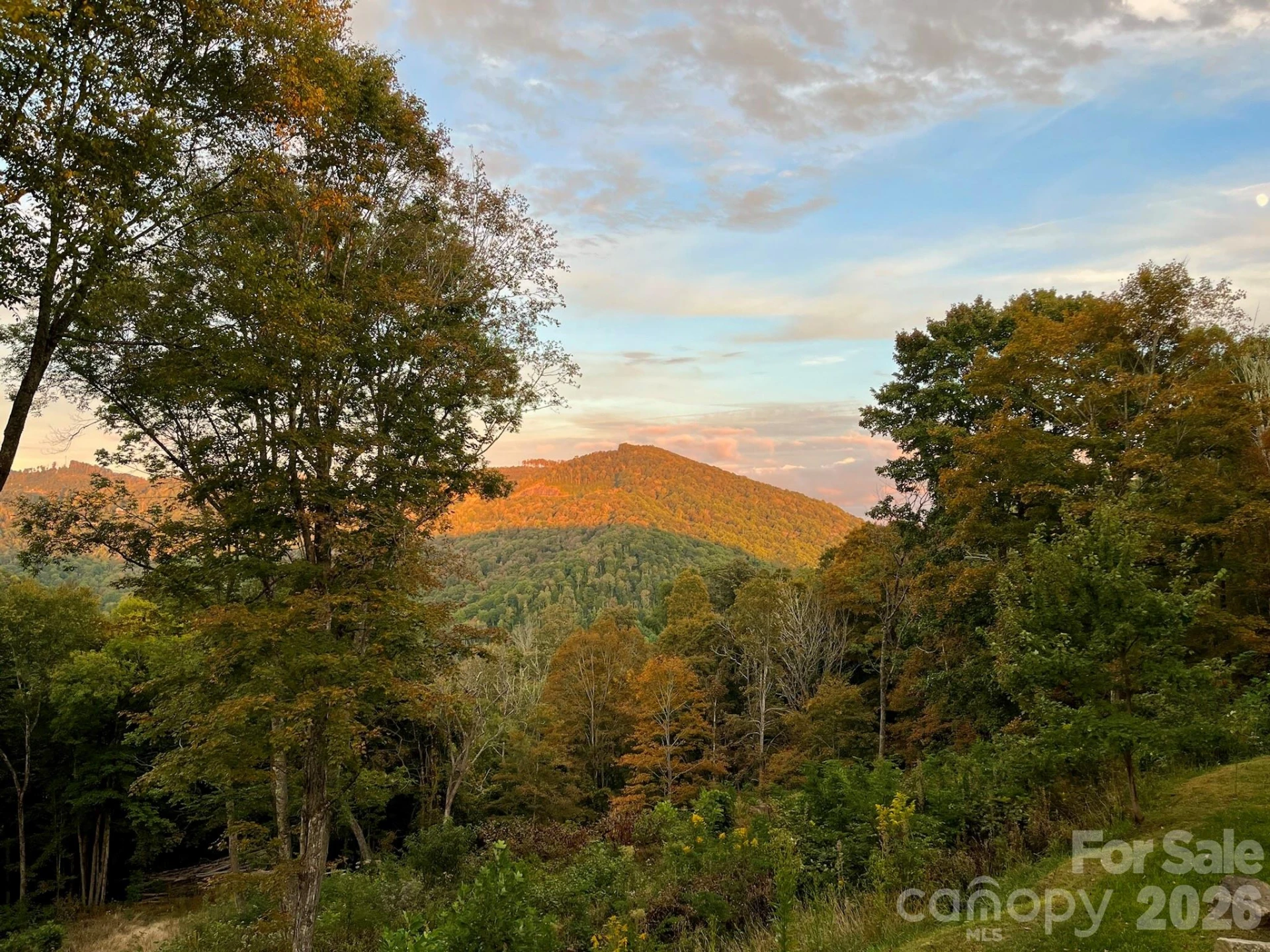1185 Black Bear Drive - Photo 44