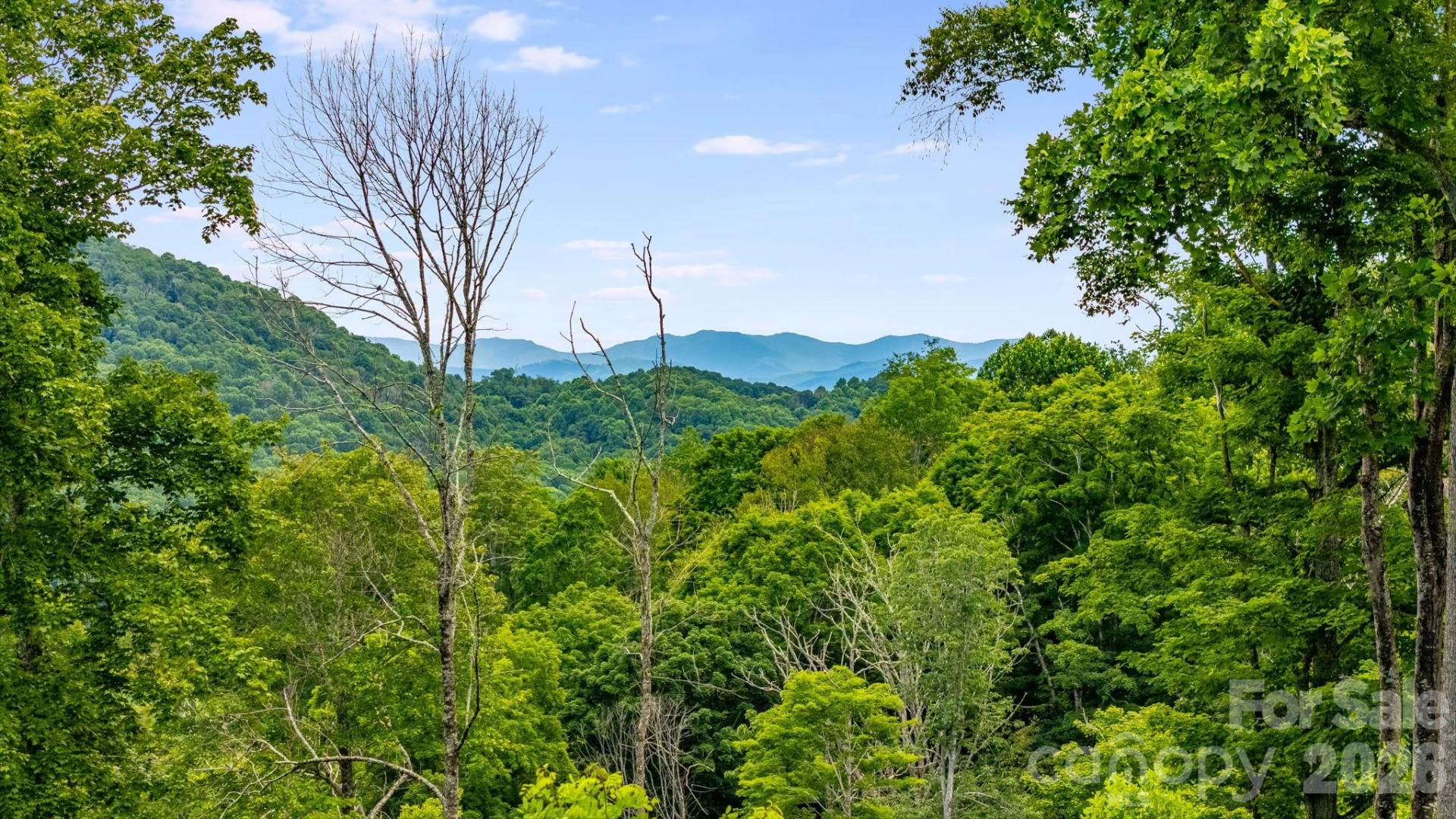 1185 Black Bear Drive - Photo 45