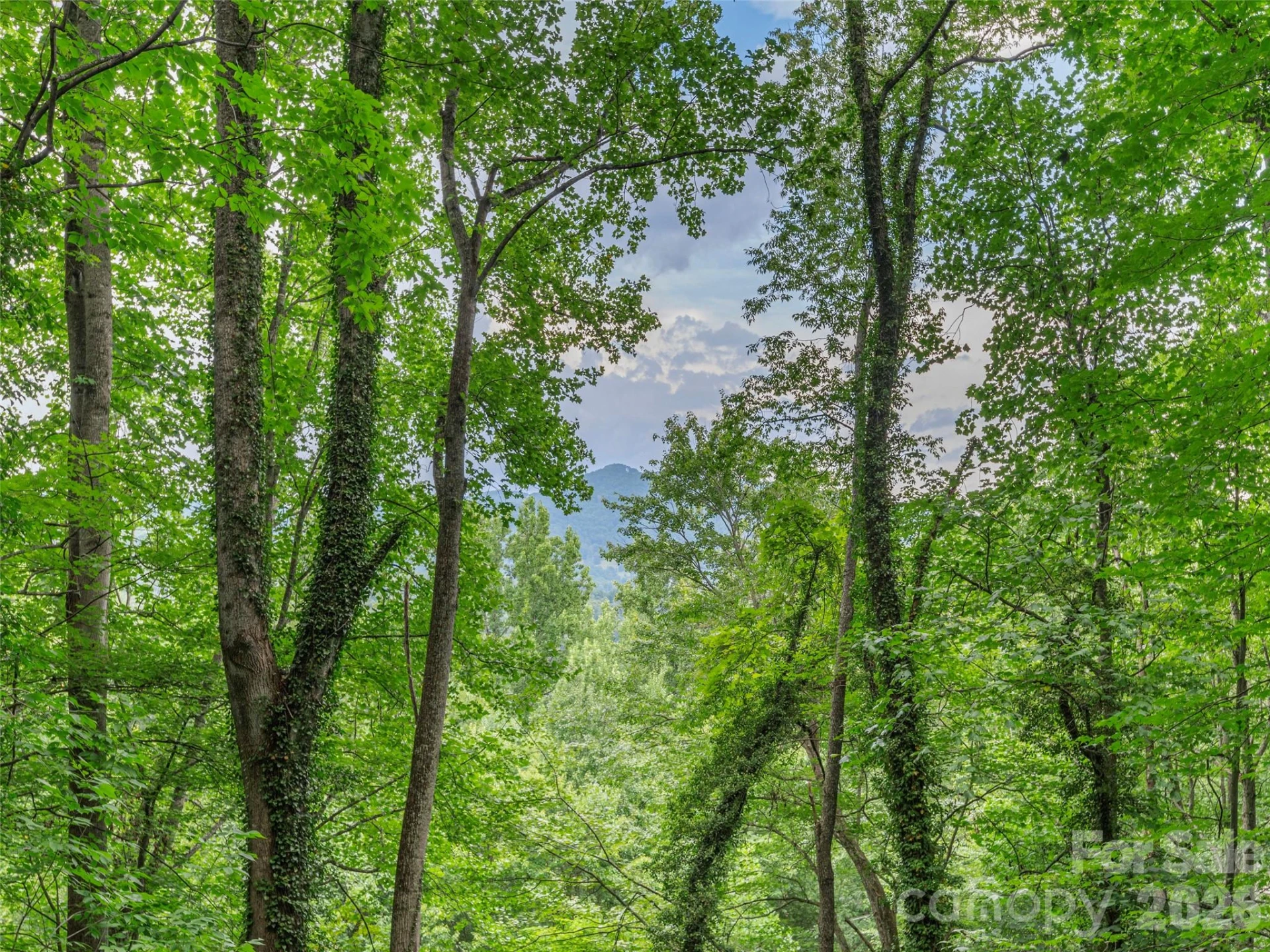 212 Torda Trace - Photo 4