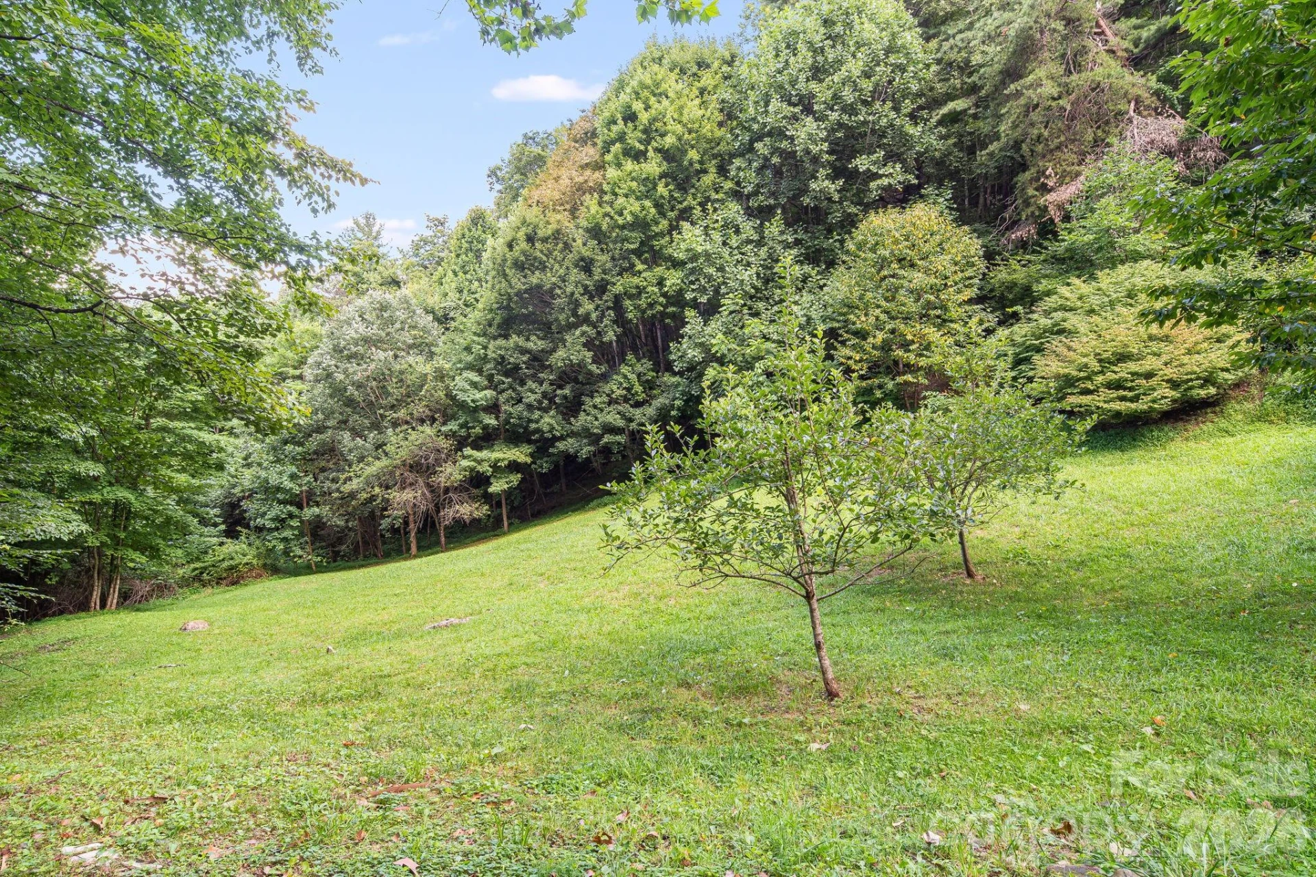 125 Hyacinth Drive - Photo 19