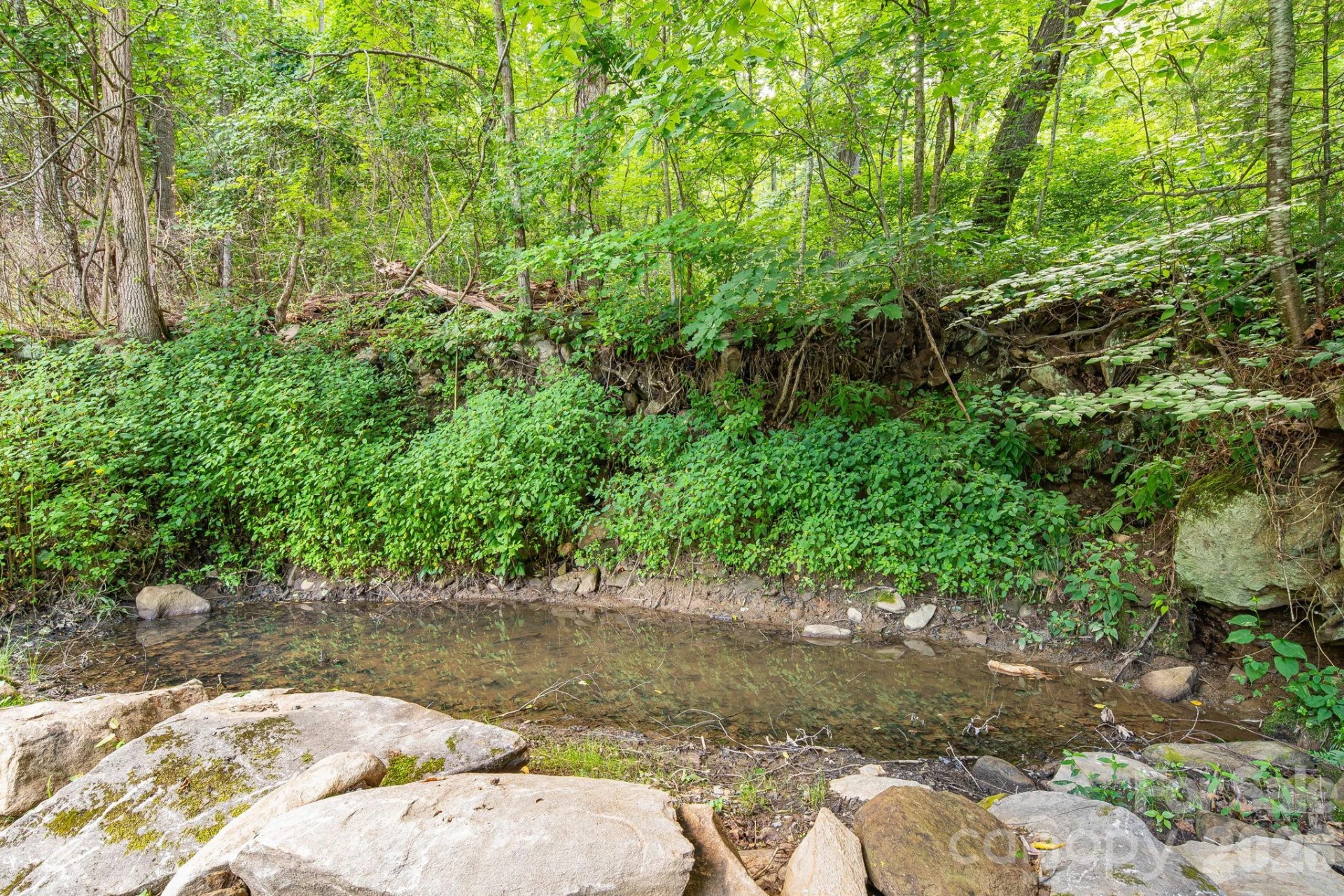 125 Hyacinth Drive - Photo 24