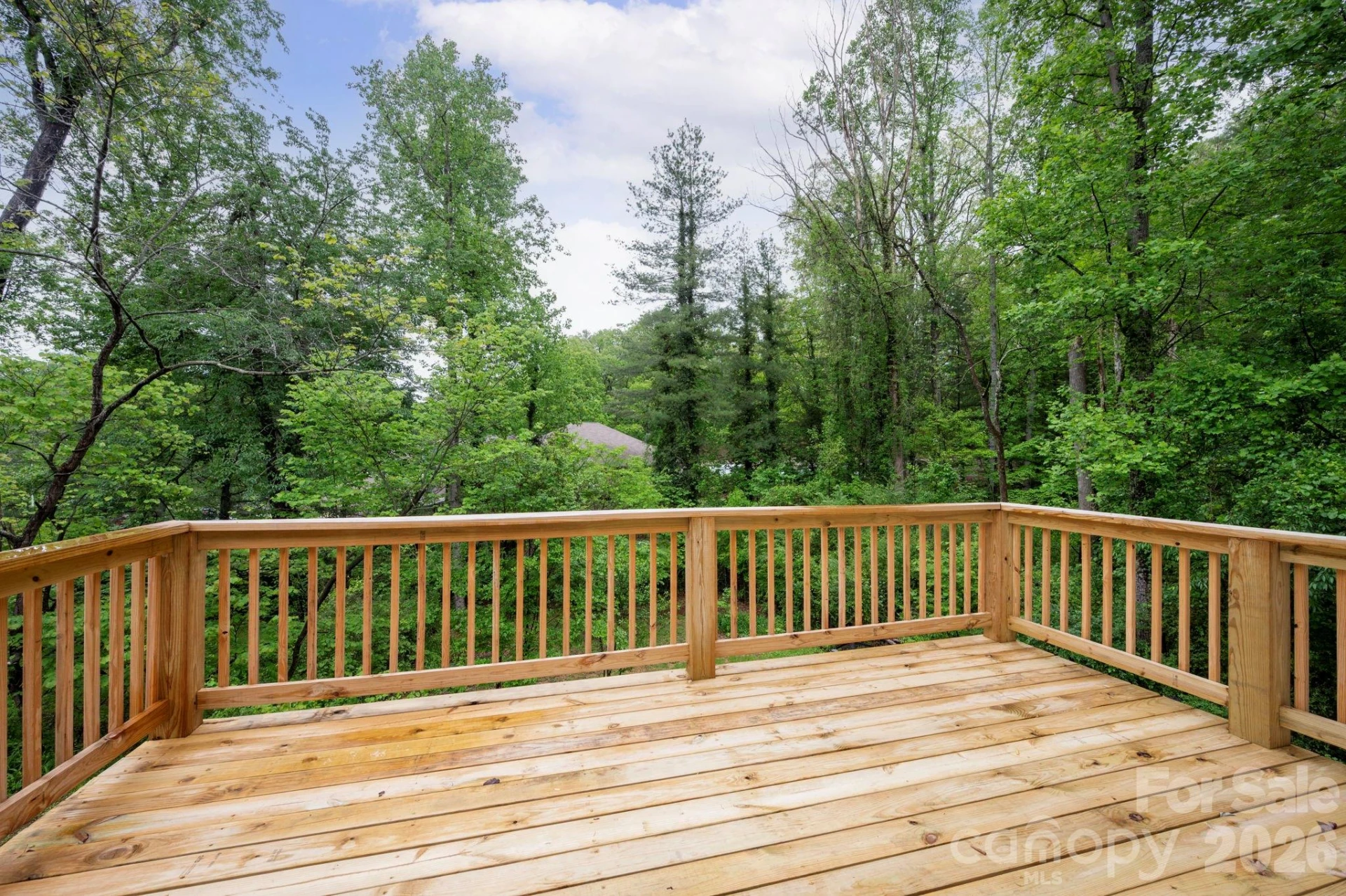 9 Nantahala Street - Photo 11