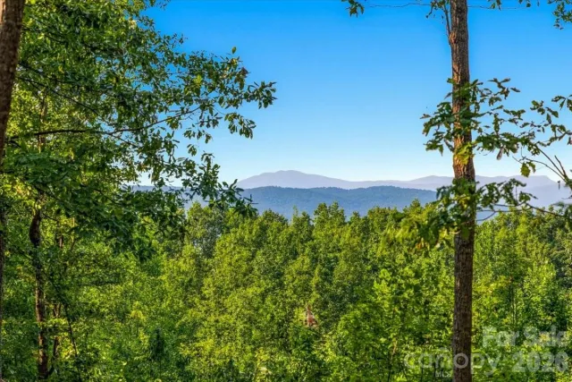 207 Mossy Oak Trail