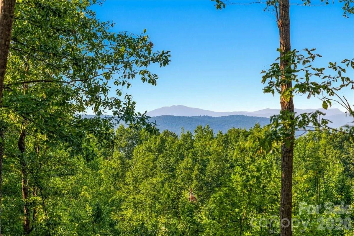 207 Mossy Oak Trail #166