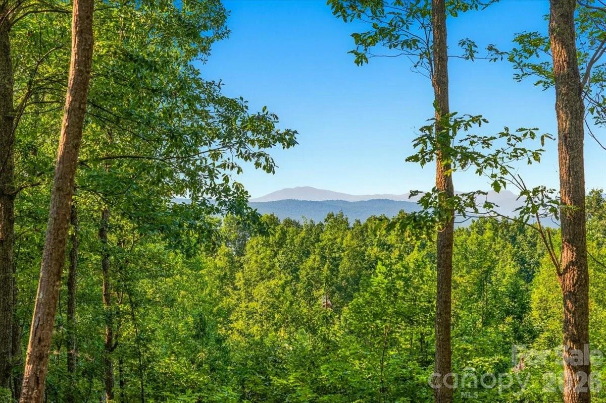 207 Mossy Oak Trail #166 - Photo 2