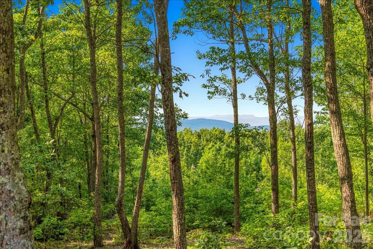 207 Mossy Oak Trail #166 - Photo 4
