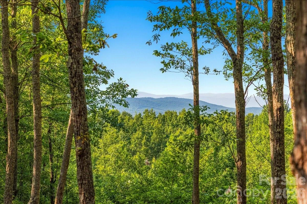207 Mossy Oak Trail #166 - Photo 5