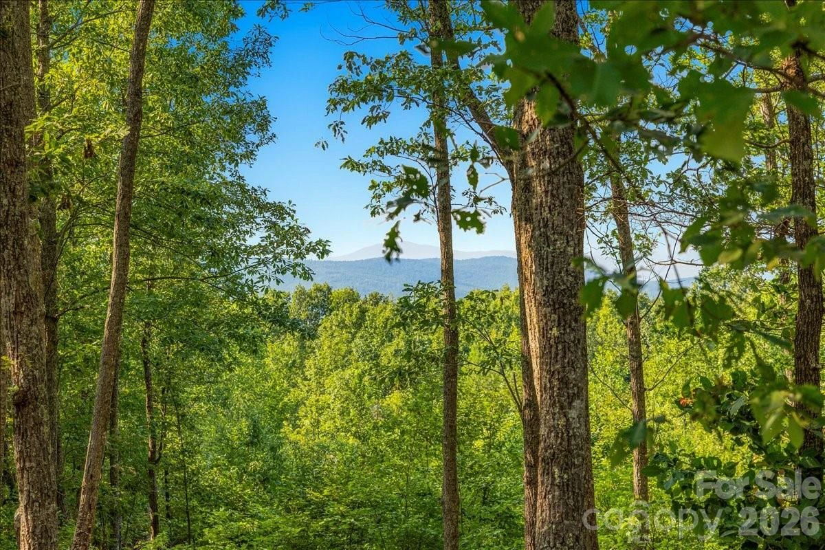 207 Mossy Oak Trail #166 - Photo 7